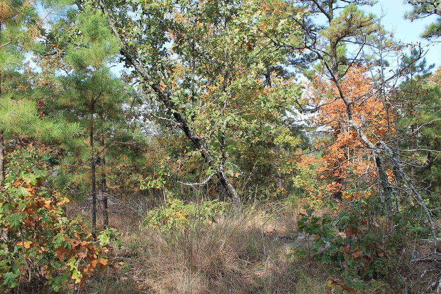 Indian Ridge – Phase III Tract 121 photo 10