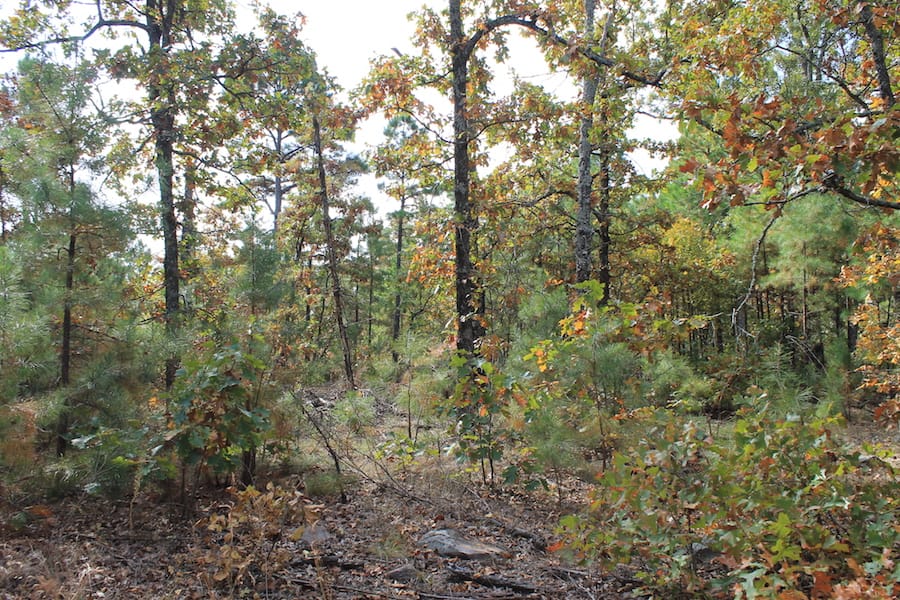 Indian Ridge – Phase III Tract 121 photo 11