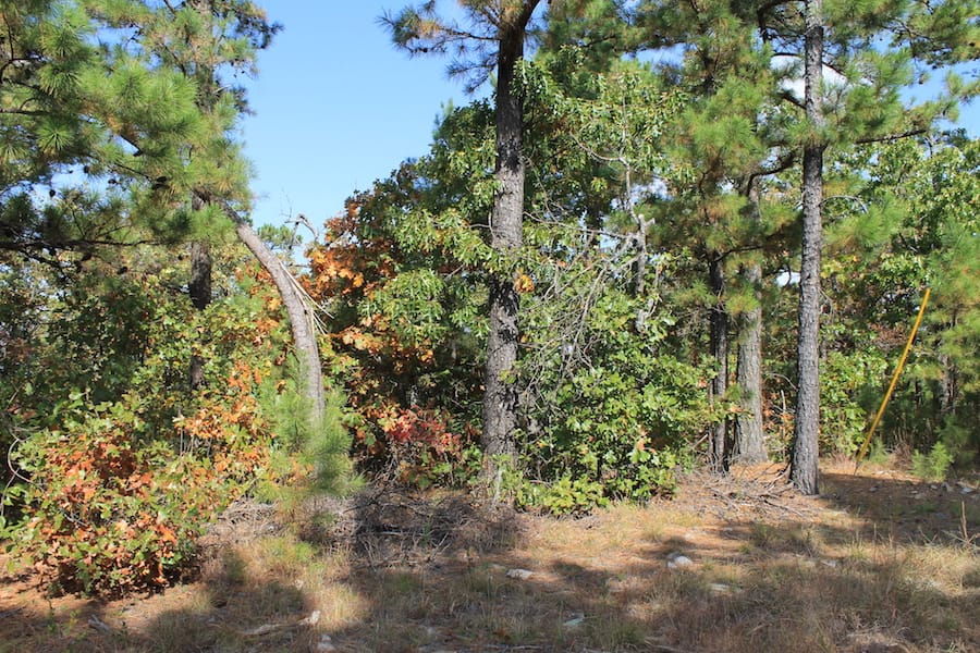 Indian Ridge – Phase III Tract 121 photo 12