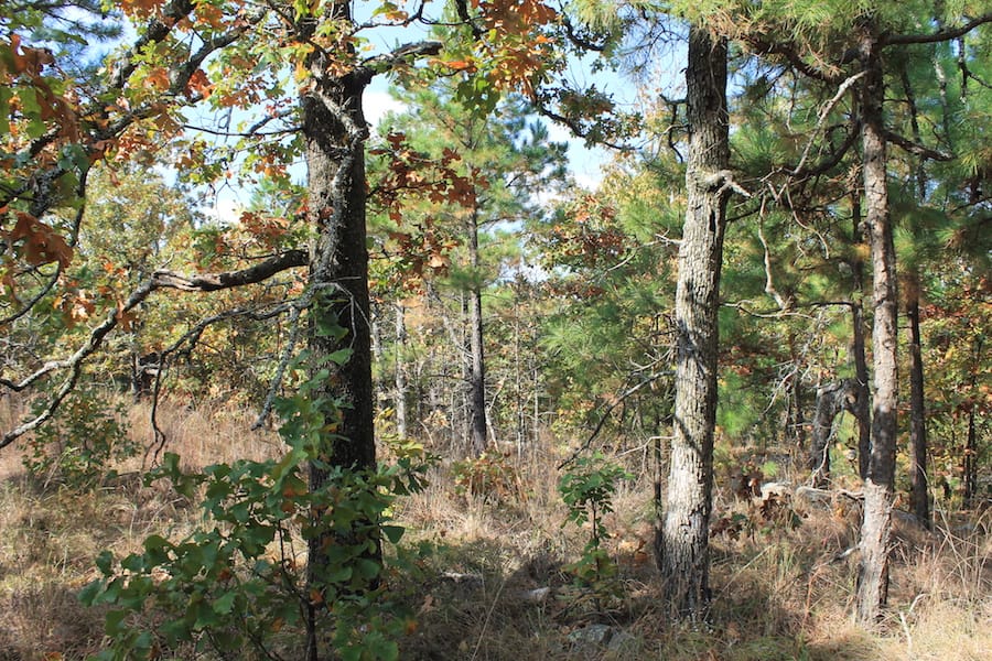 Indian Ridge – Phase III Tract 121 photo 14