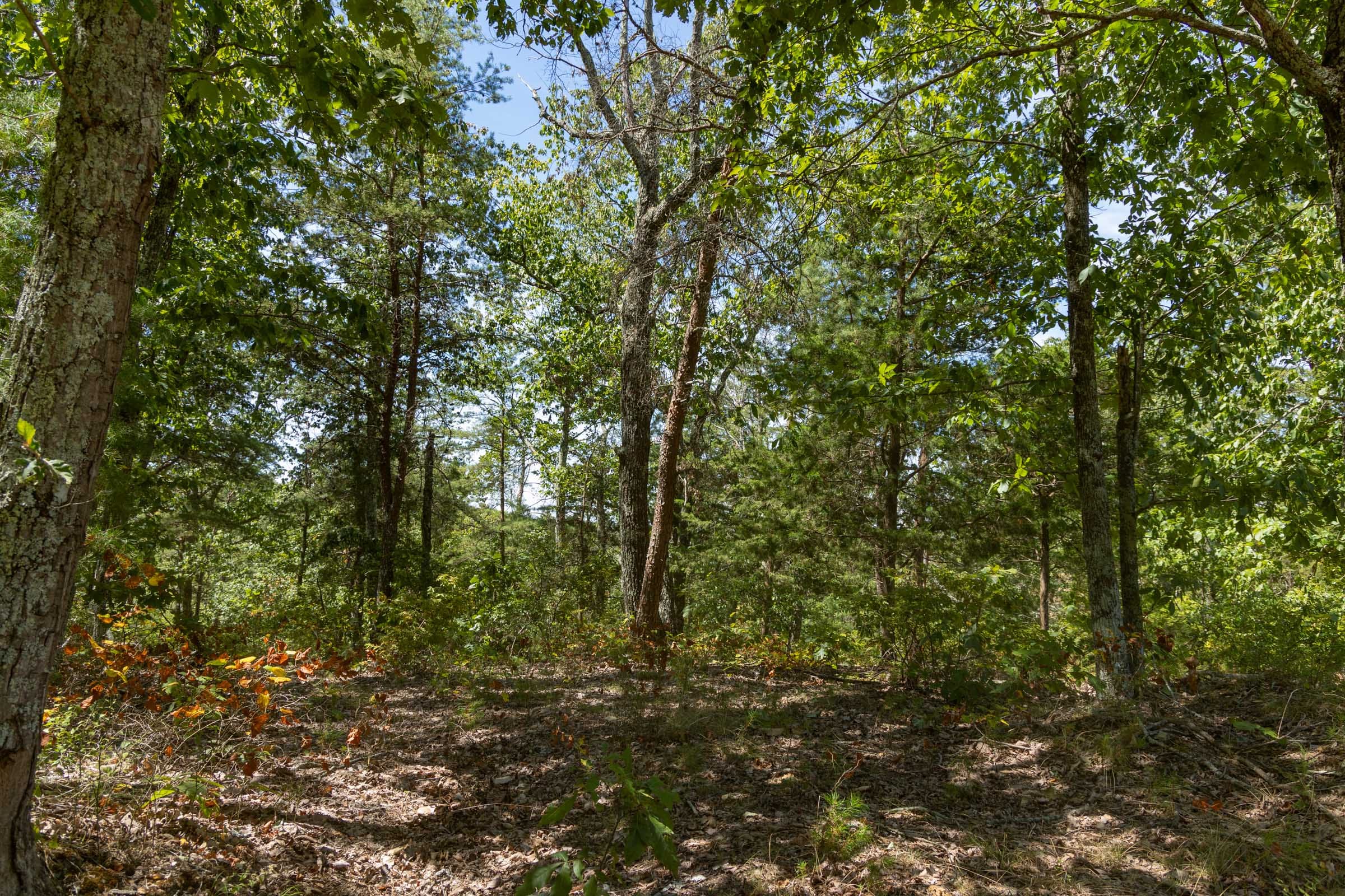 Big White Oak Tract 139 photo 7