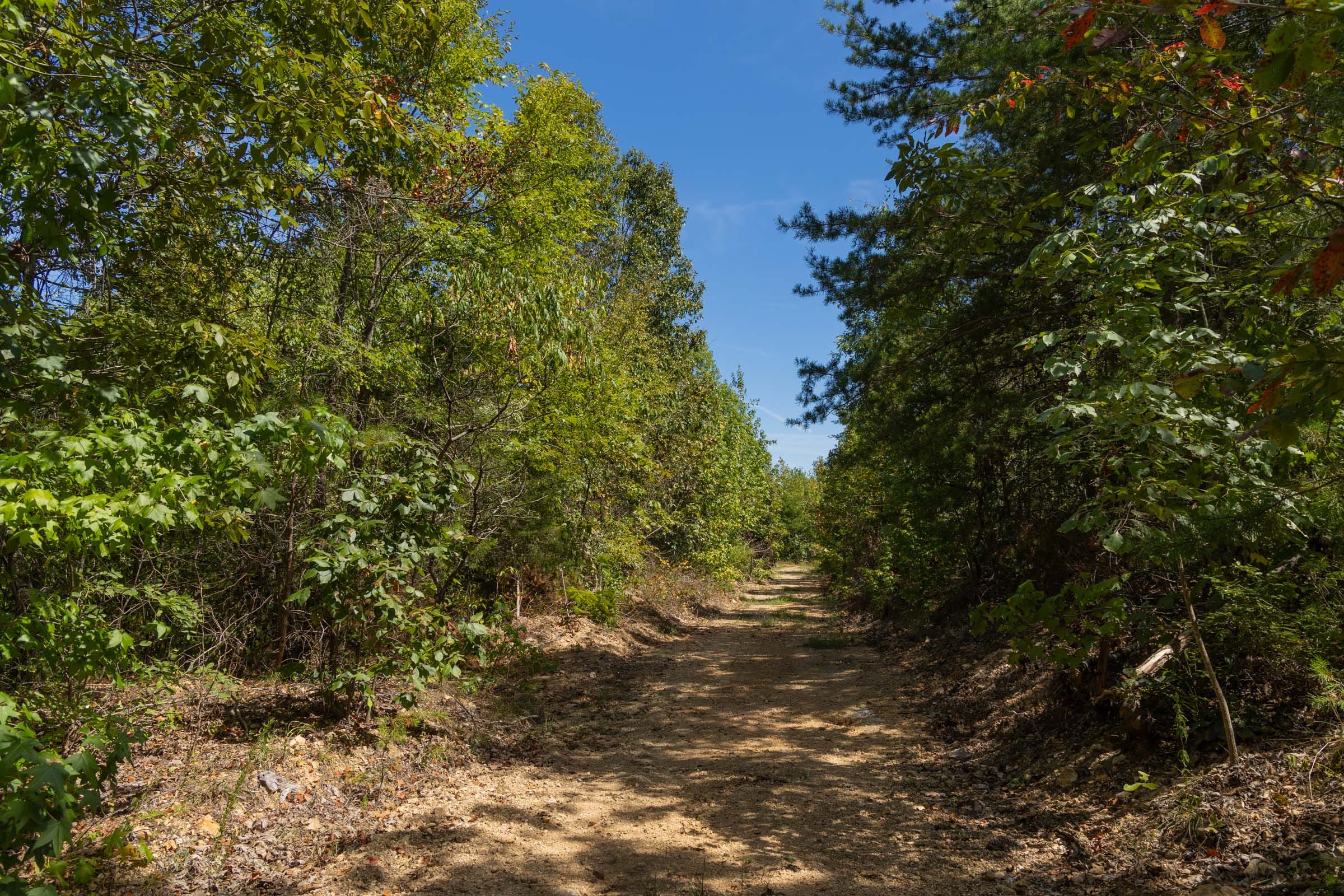 Big White Oak Tract 139 photo 2