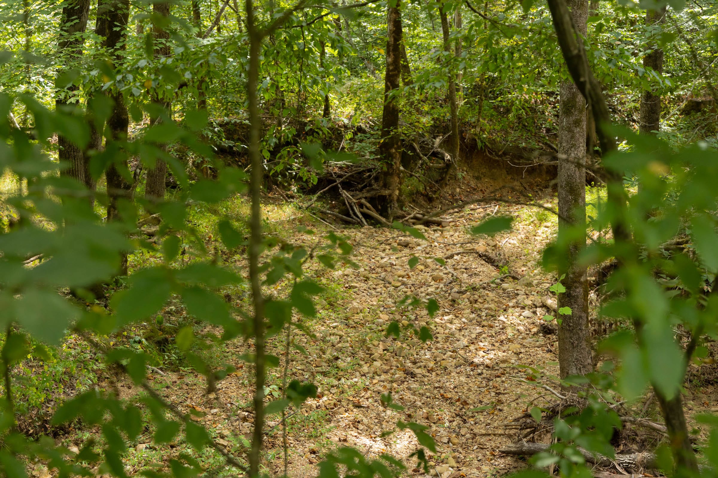 Big White Oak Tract 139 photo 3