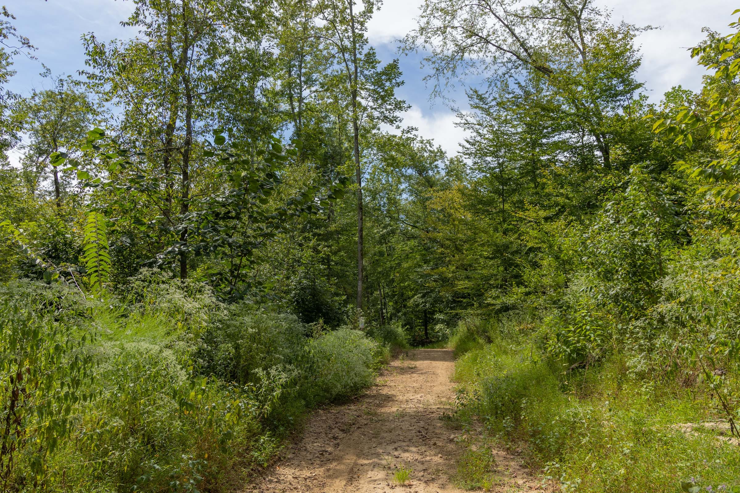 Big White Oak Tract 139 photo 1
