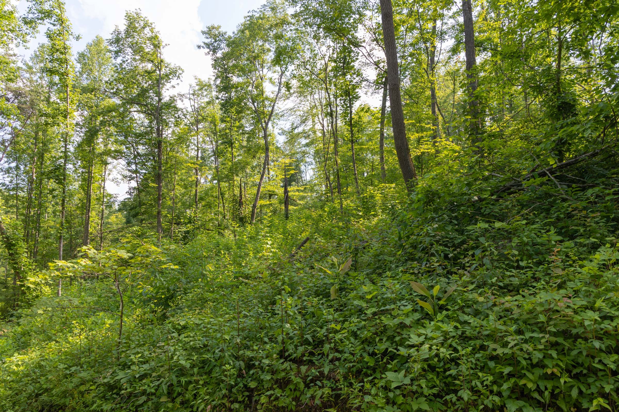 Creek Hollow Phase II Tract 79 photo 9