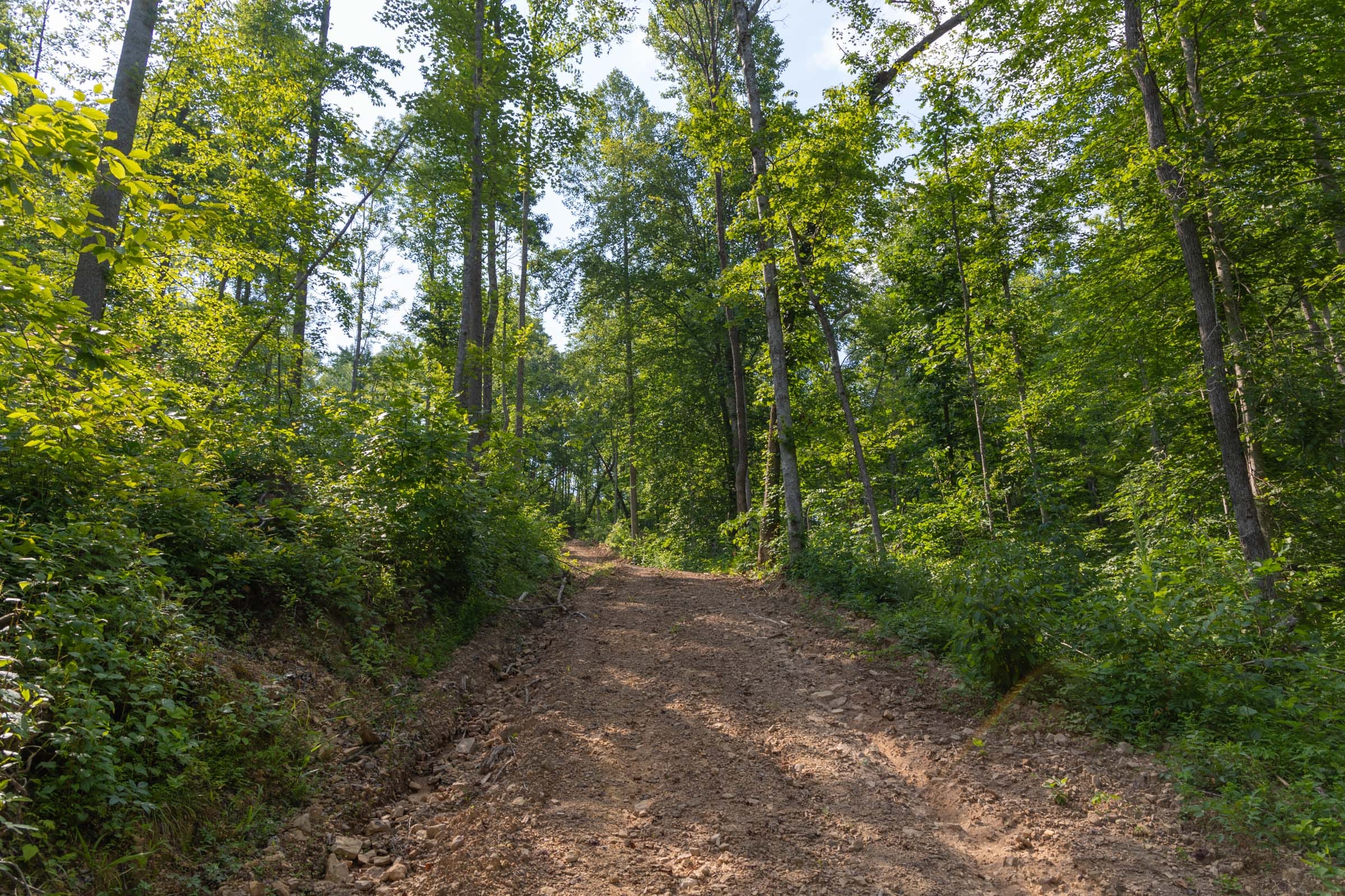 Creek Hollow Phase II Tract 79 photo 7