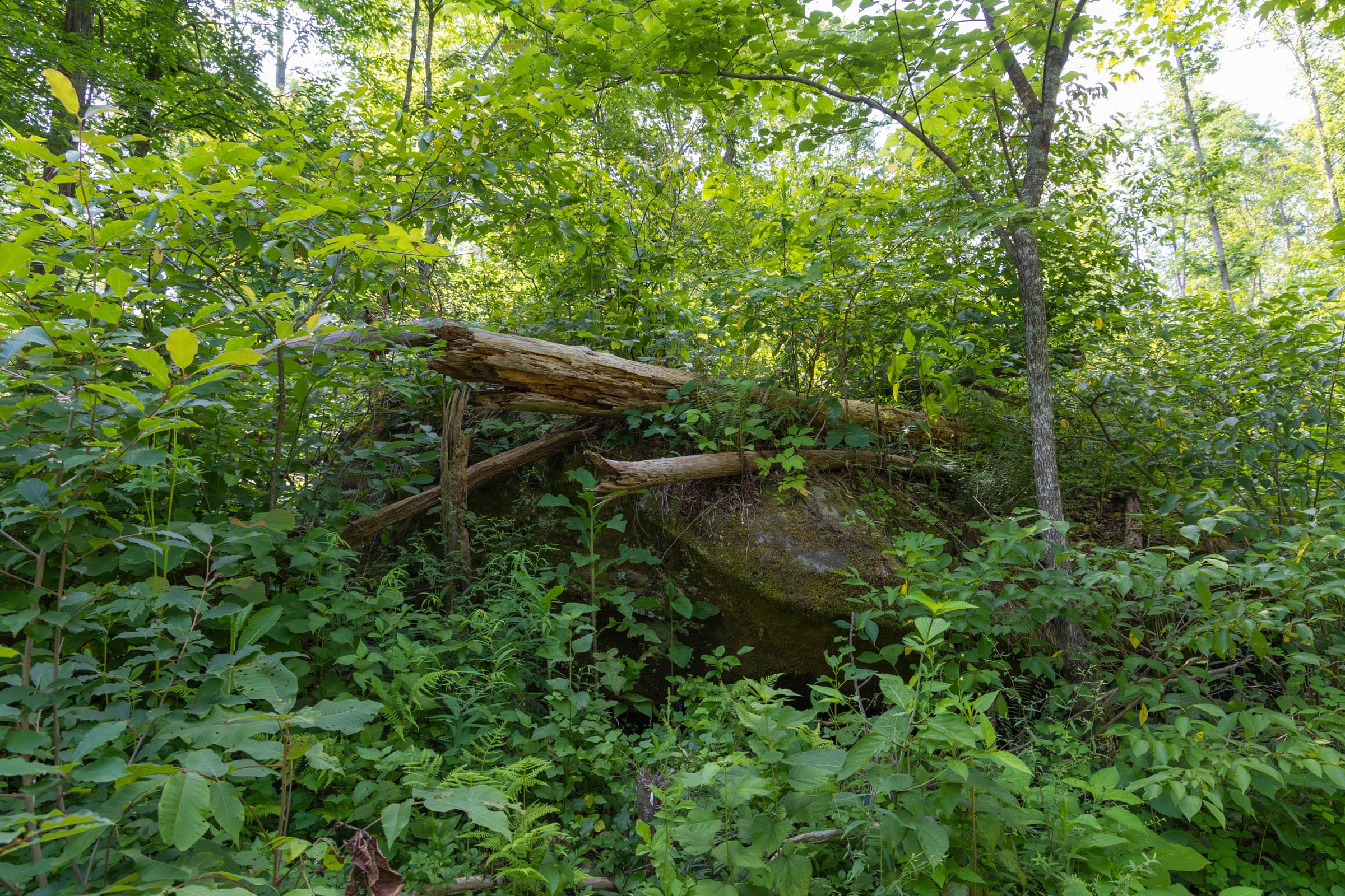 Creek Hollow Phase II Tract 79 photo 5