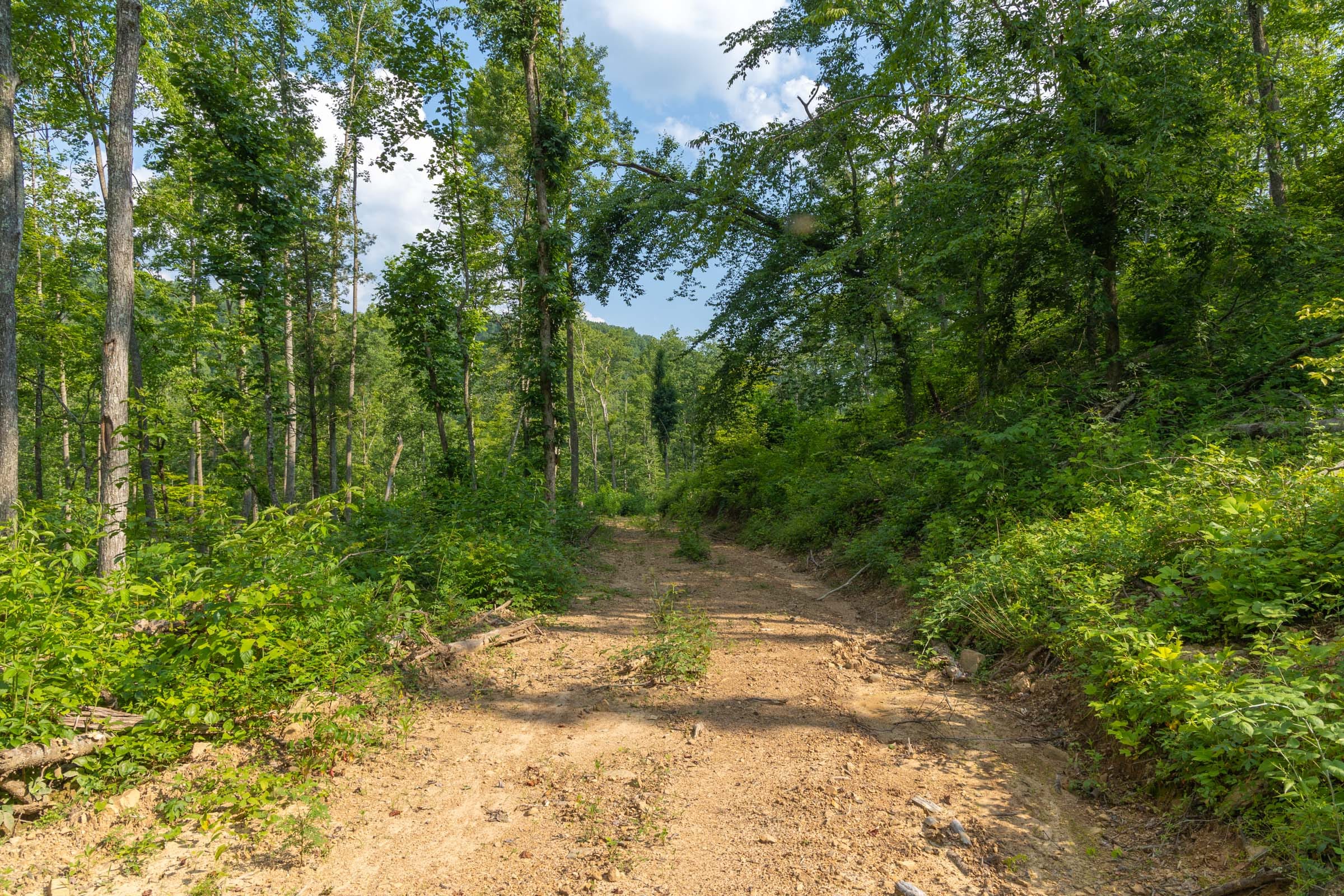 Creek Hollow Phase II Tract 79 photo 2