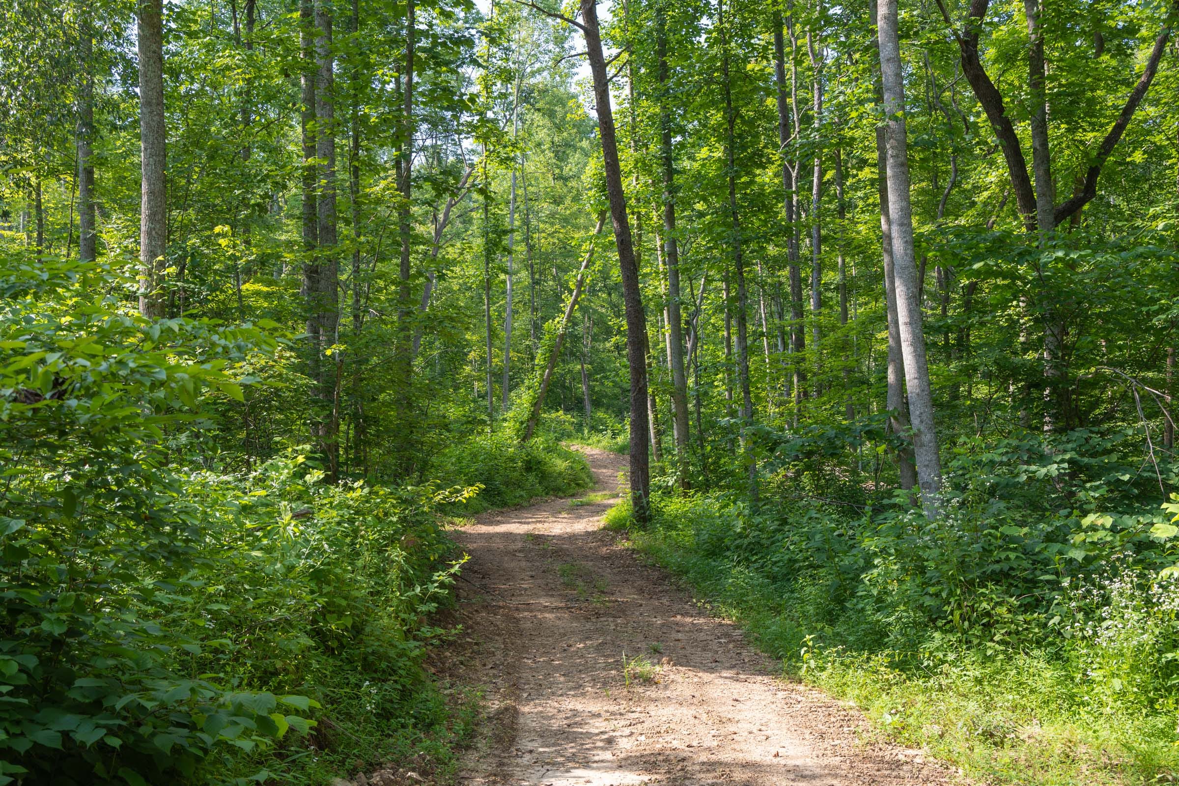 Creek Hollow Phase II Tract 79 photo 1