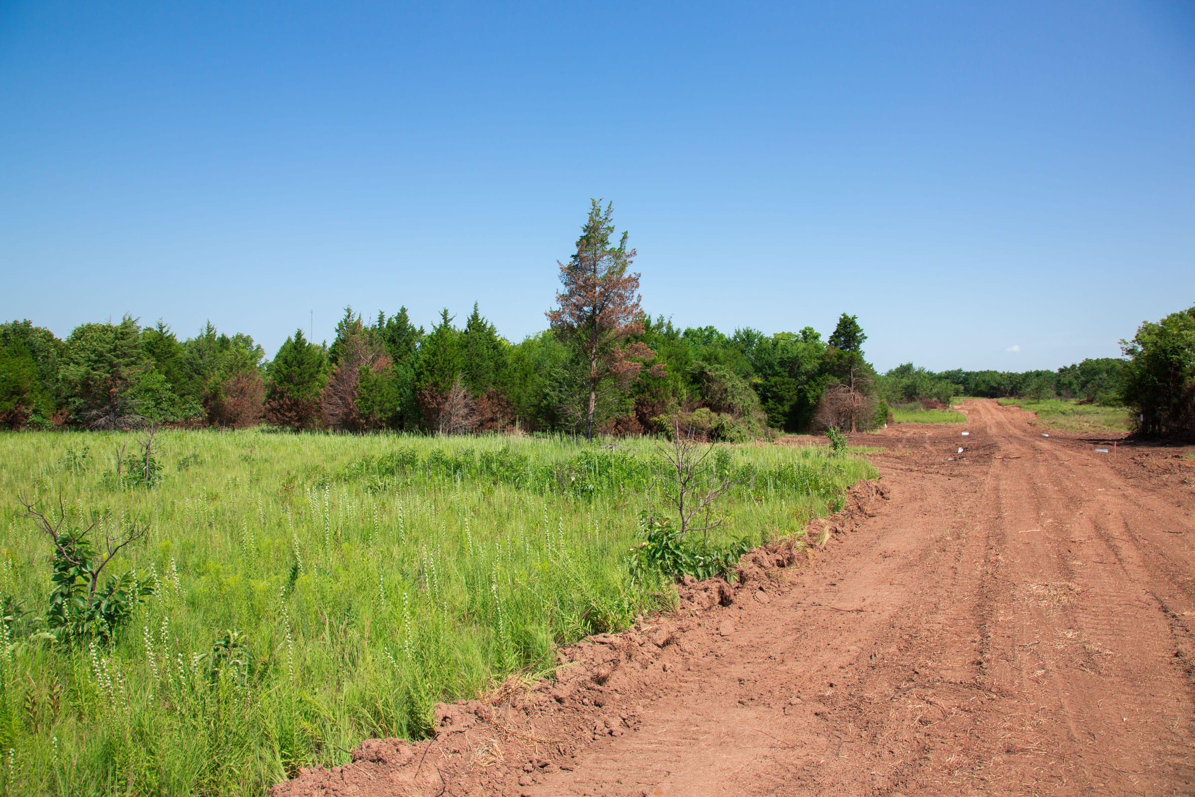 Deep Fork Ranch Tract 18 photo 1