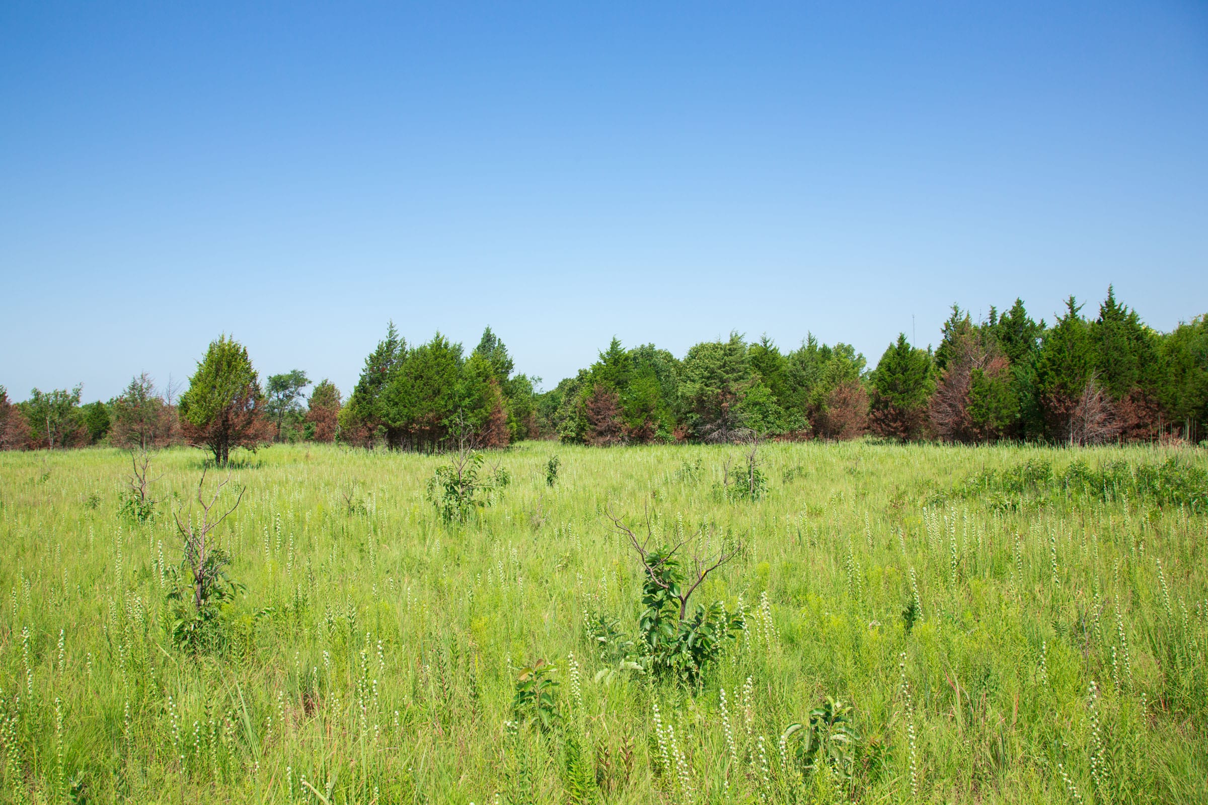 Deep Fork Ranch Tract 18 photo 2