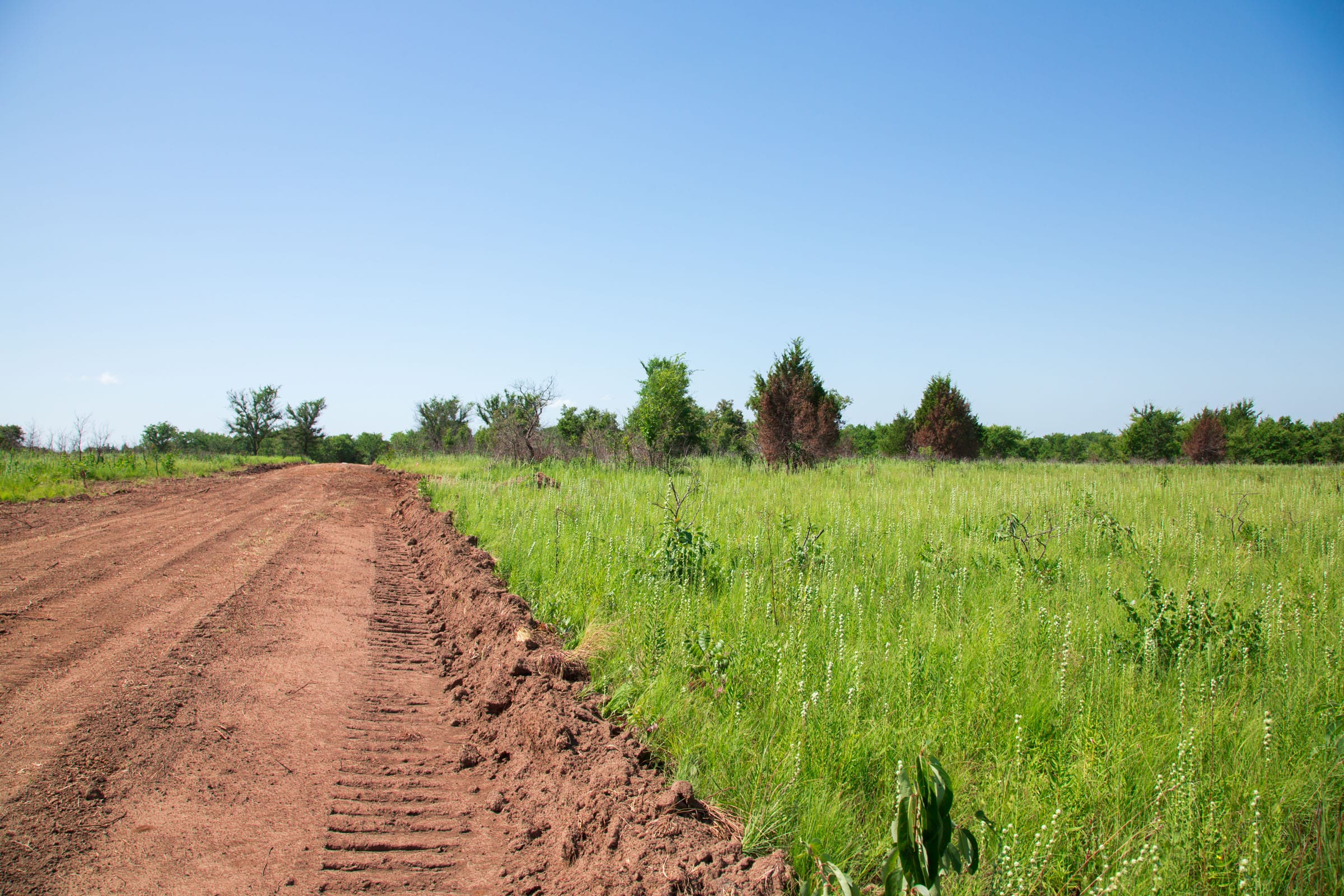 Deep Fork Ranch Tract 18 photo 5