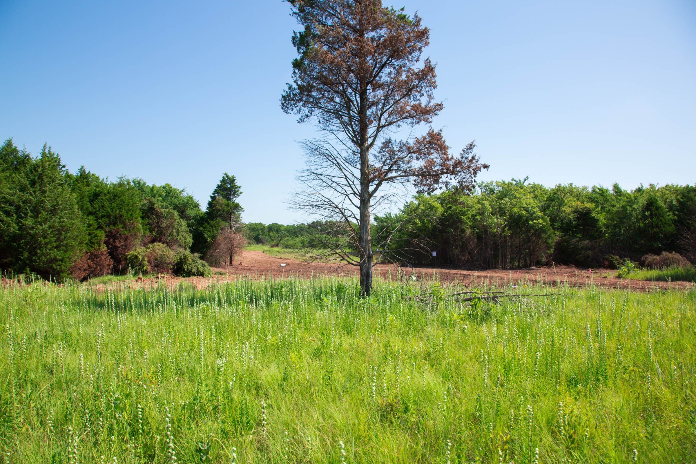 Deep Fork Ranch Tract 18 photo 6