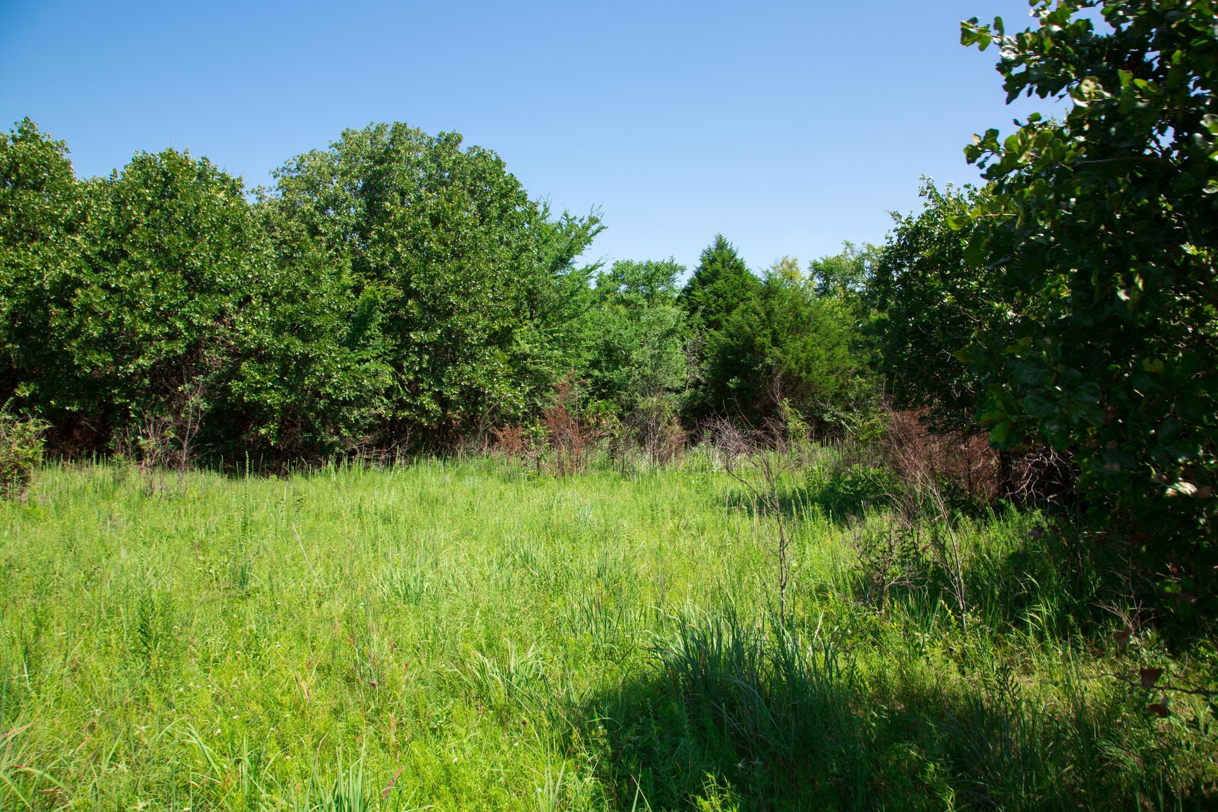 Deep Fork Ranch Tract 18 photo 9