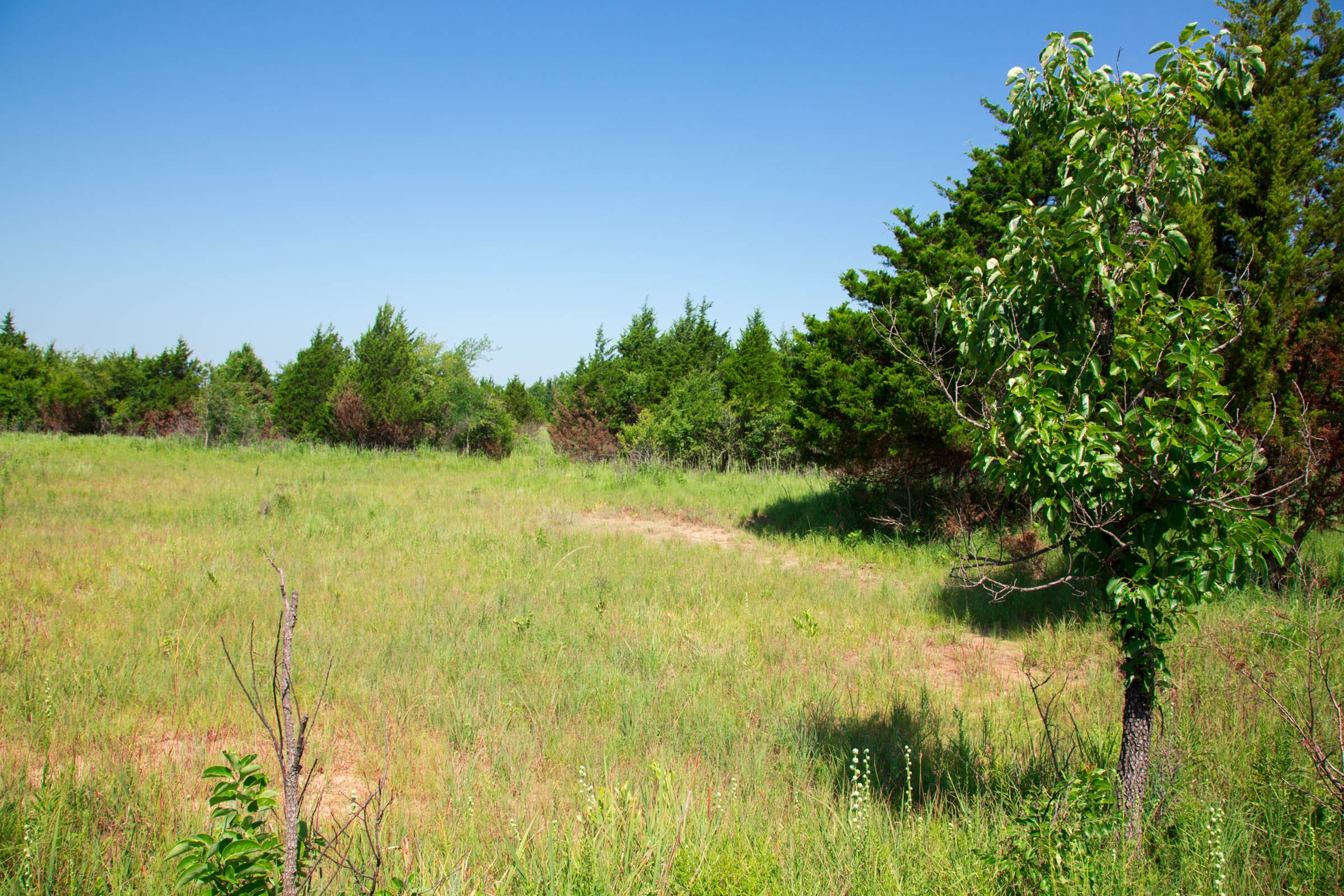 Deep Fork Ranch Tract 18 photo 11