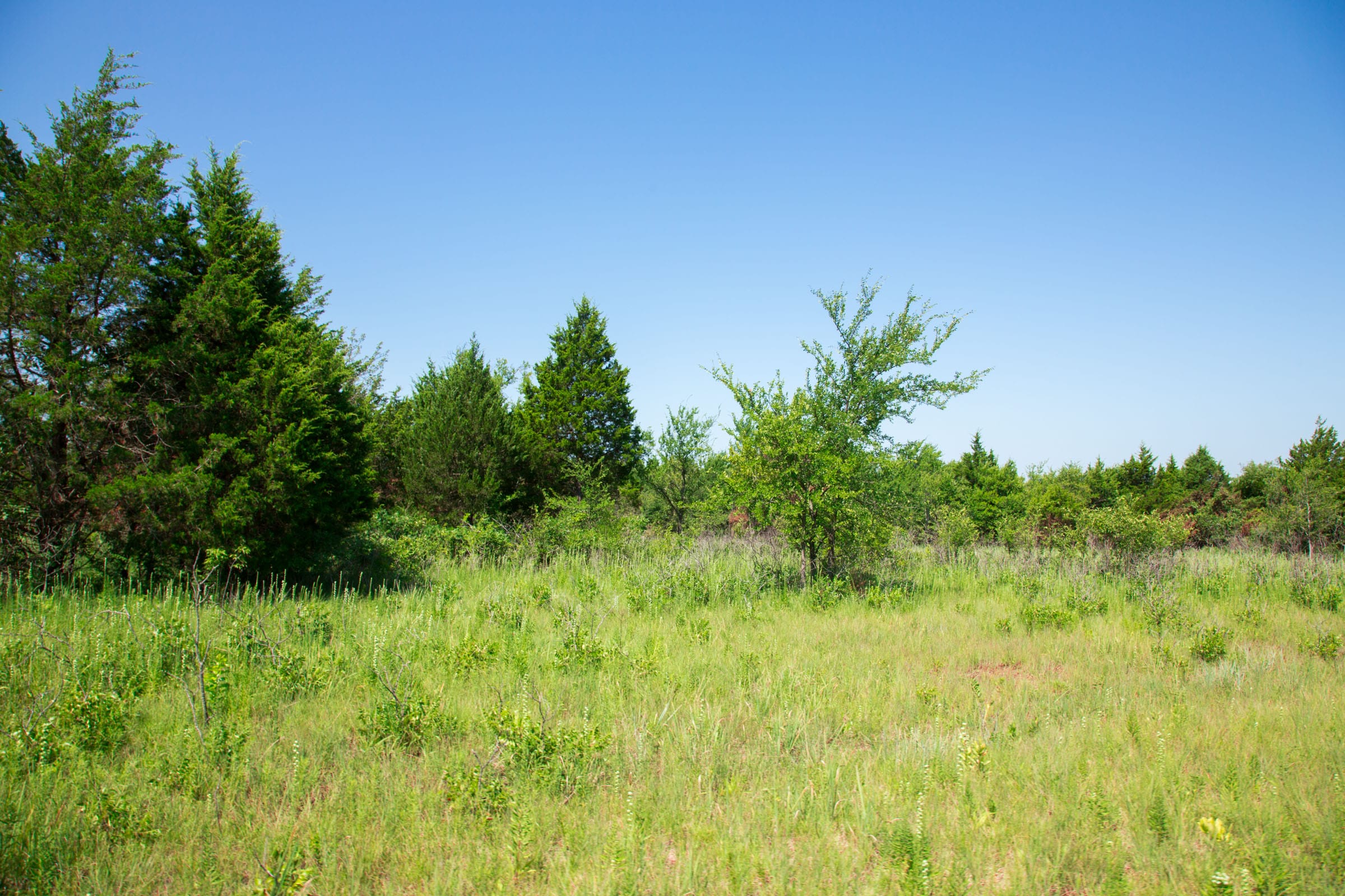 Deep Fork Ranch Tract 18 photo 12