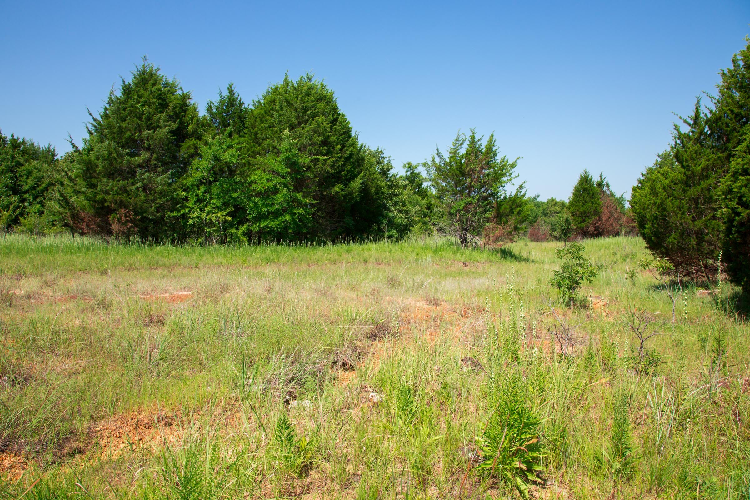 Deep Fork Ranch Tract 18 photo 13