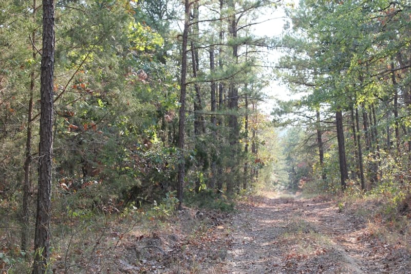 Lake View Ranch Tract 27 photo 1