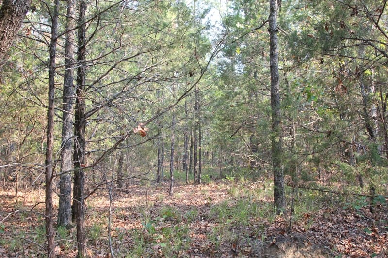 Lake View Ranch Tract 27 photo 2