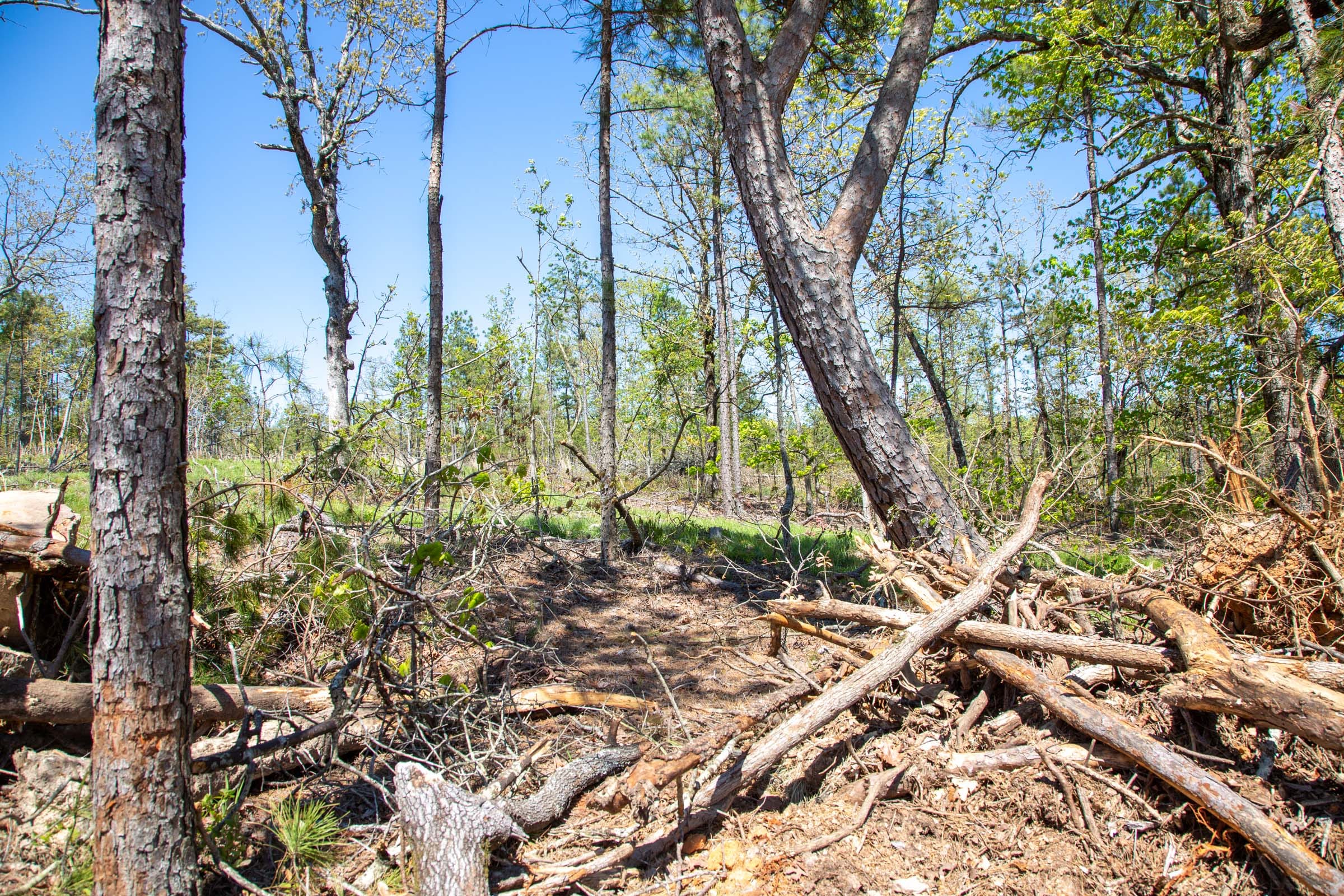 Eagle’s Nest Tract 21 photo 4