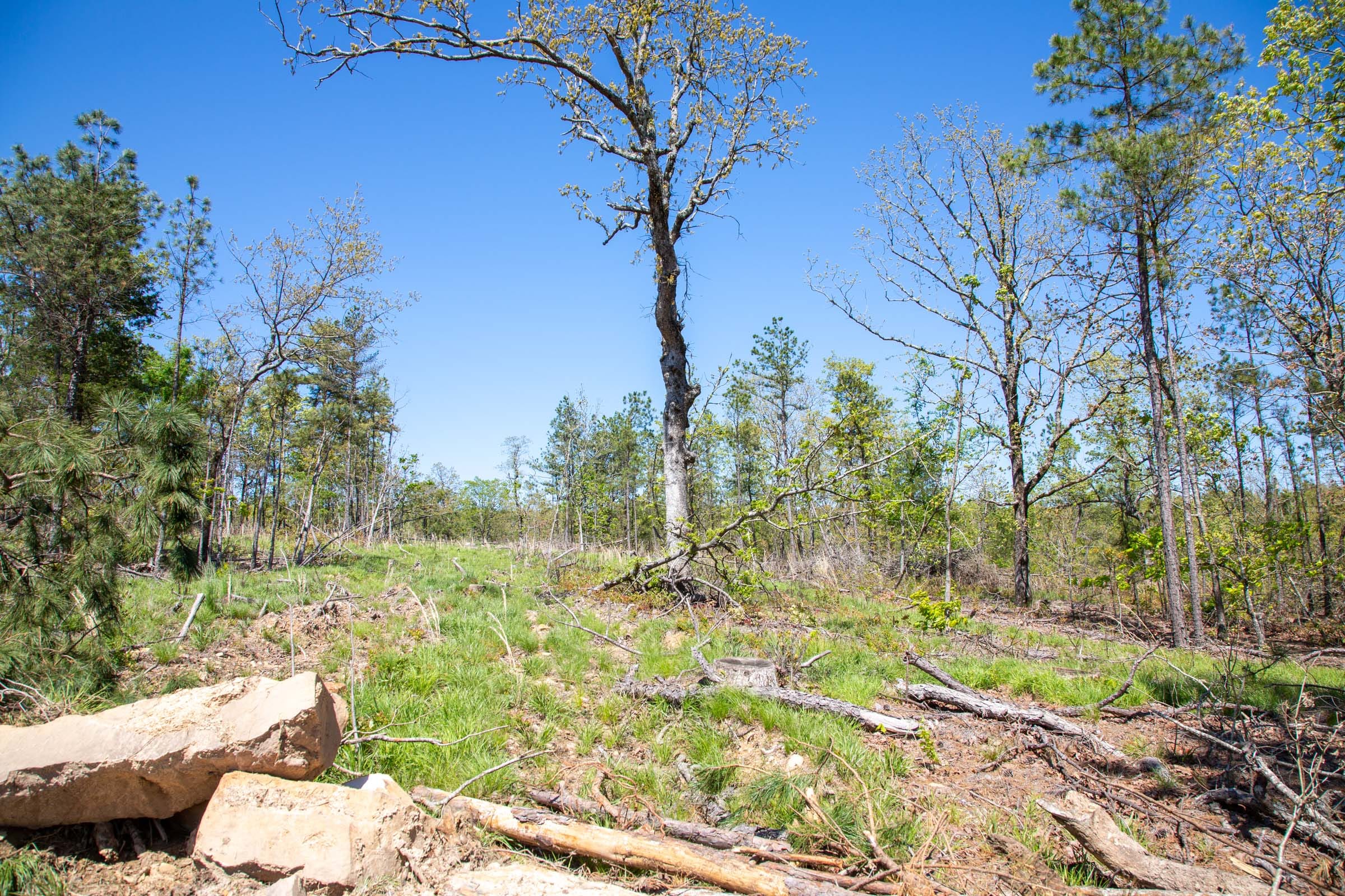 Eagle’s Nest Tract 21 photo 5