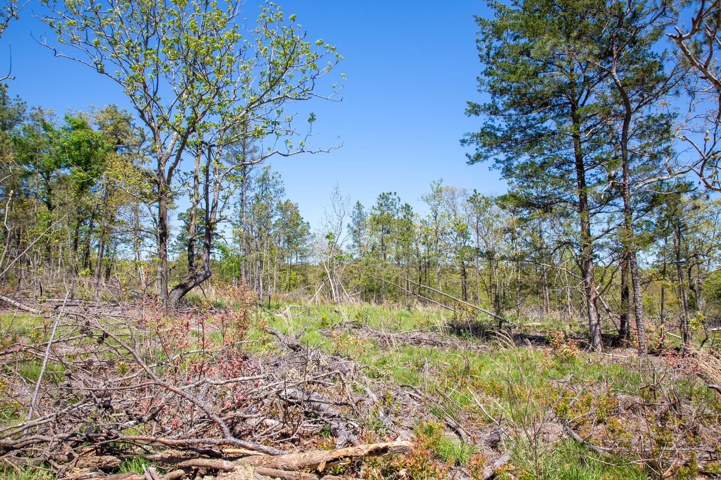 Eagle’s Nest Tract 21 photo 6