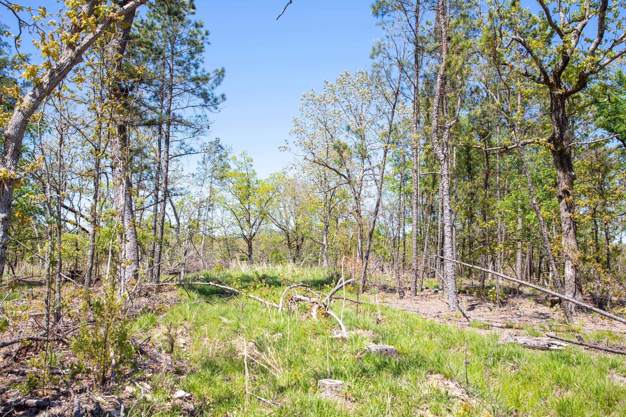 Eagle’s Nest Tract 21 photo 7