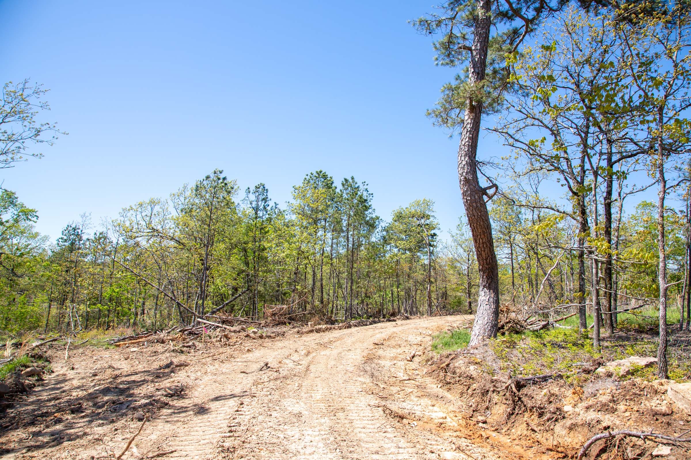 Eagle’s Nest Tract 21 photo 2