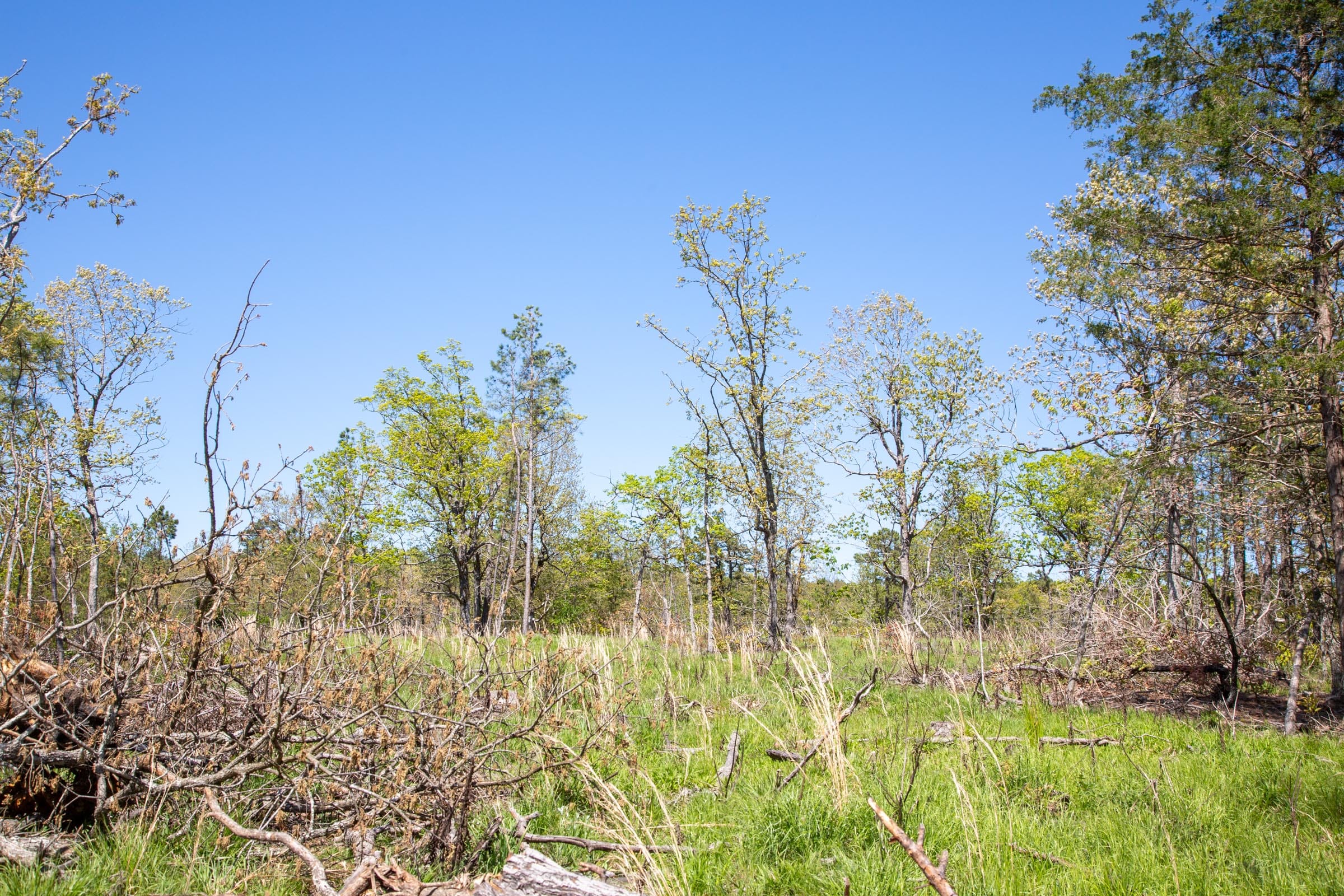Eagle’s Nest Tract 21 photo 8