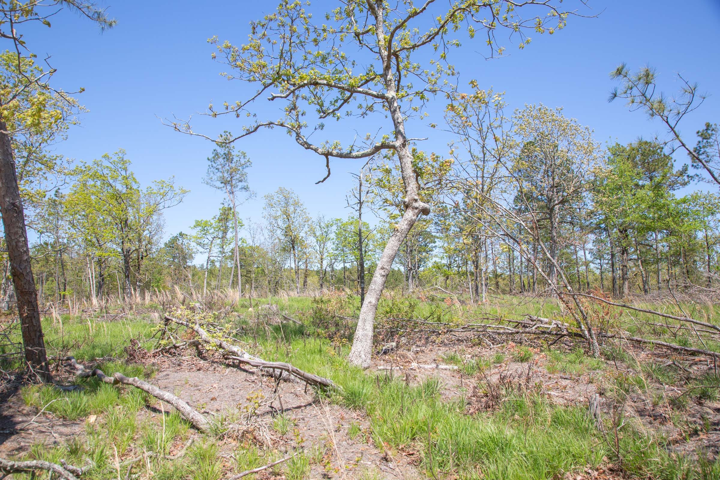Eagle’s Nest Tract 21 photo 9