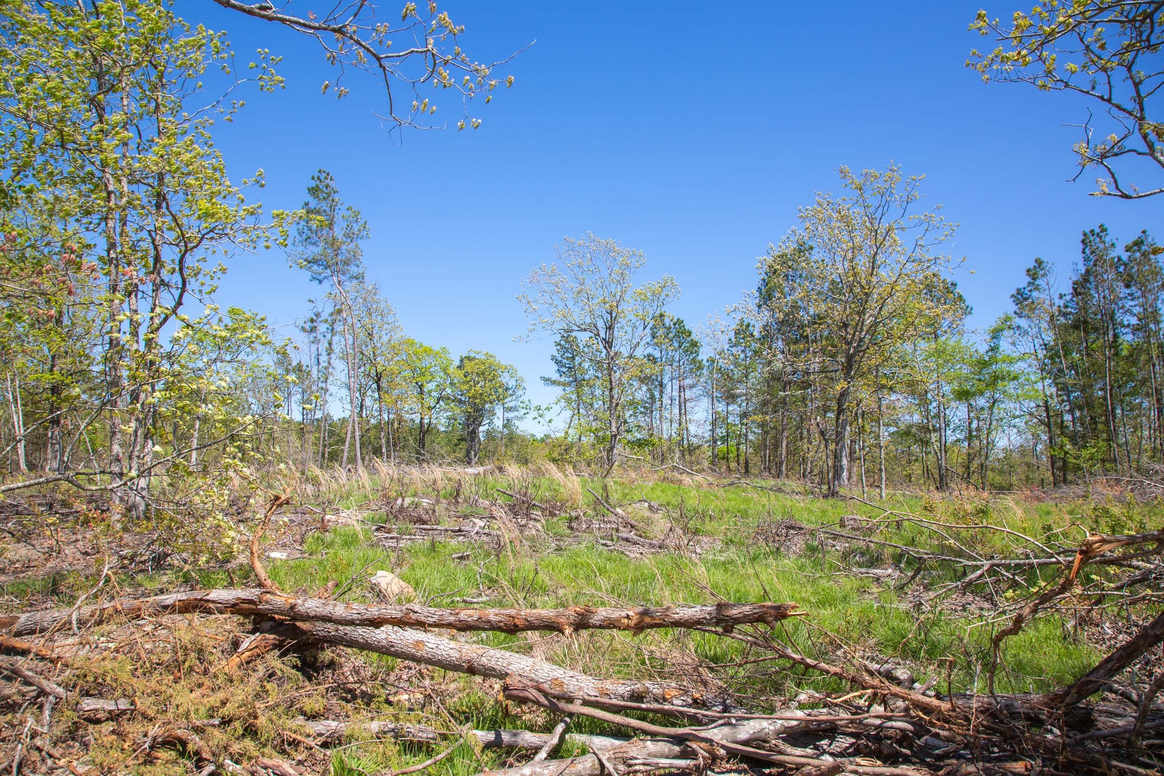 Eagle’s Nest Tract 21 photo 10