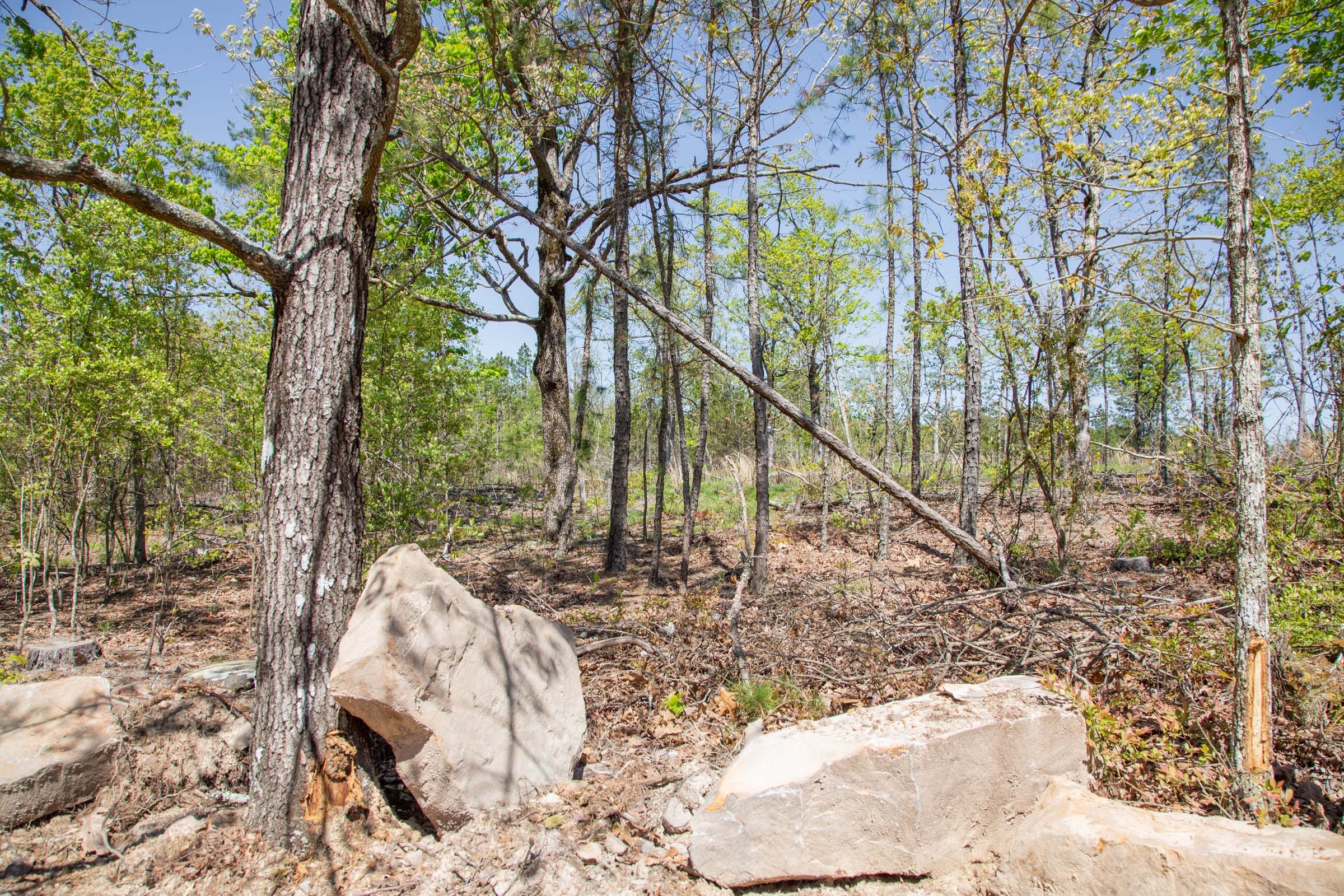 Eagle’s Nest Tract 21 photo 12