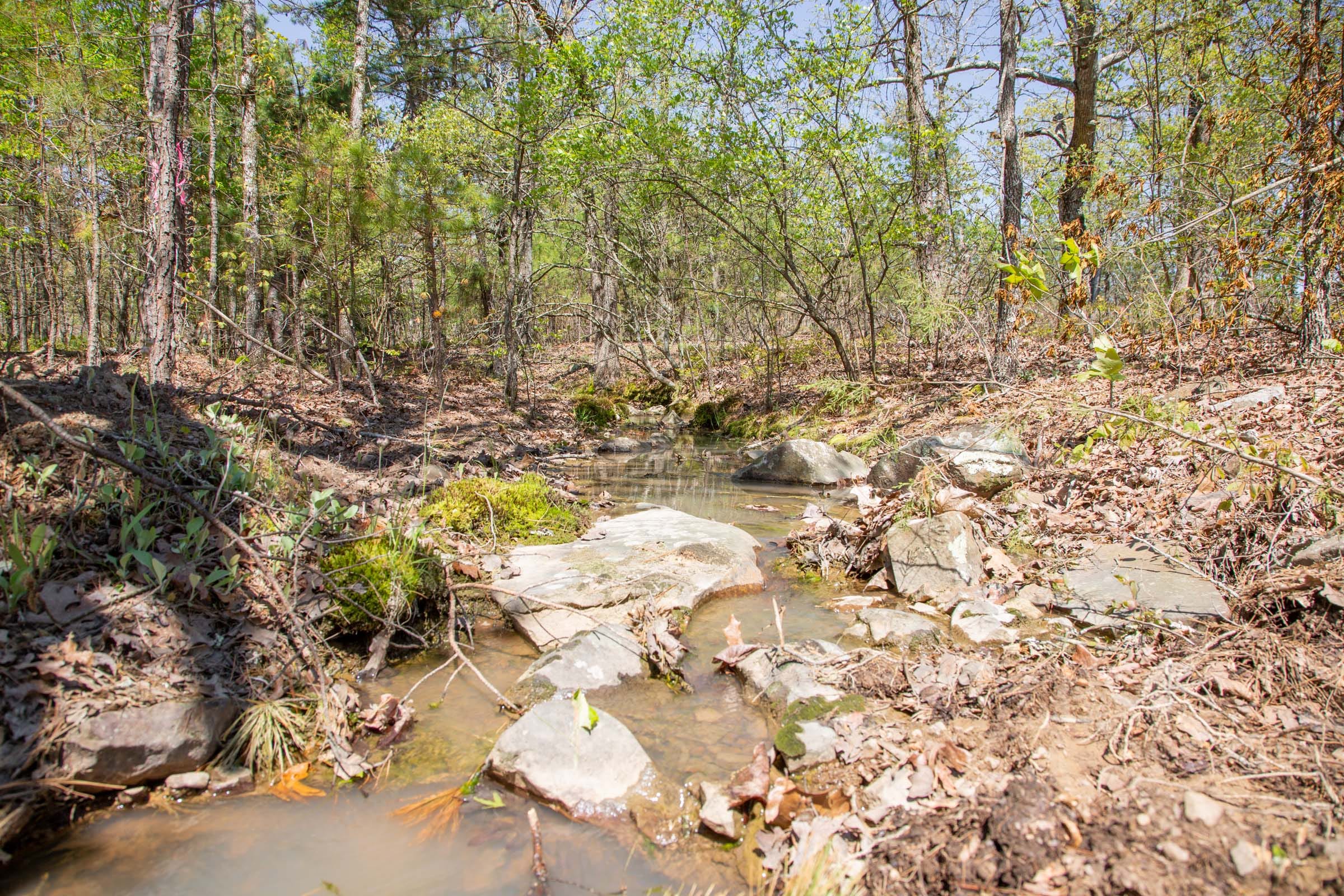 Eagle’s Nest Tract 21 photo 13