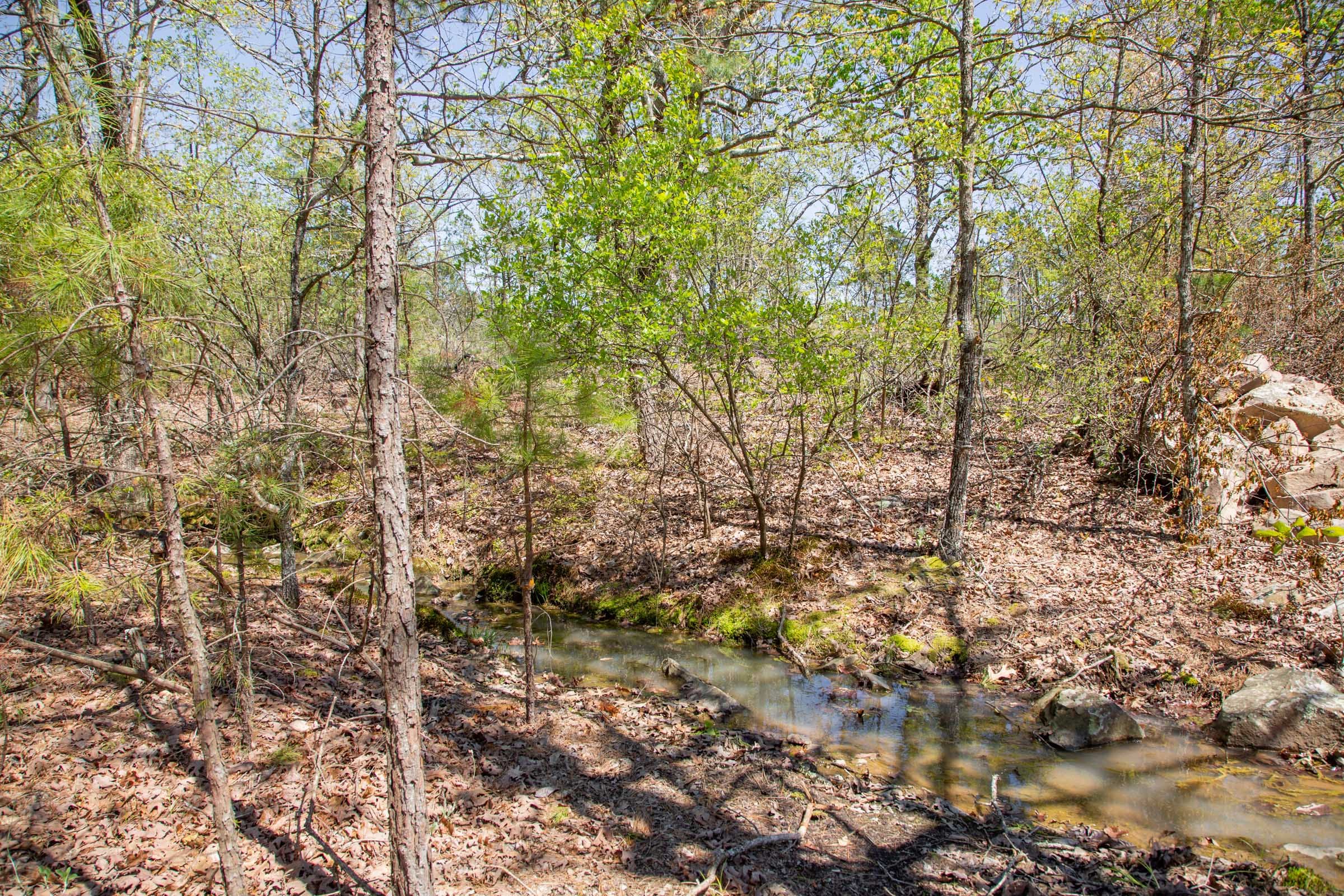 Eagle’s Nest Tract 21 photo 15