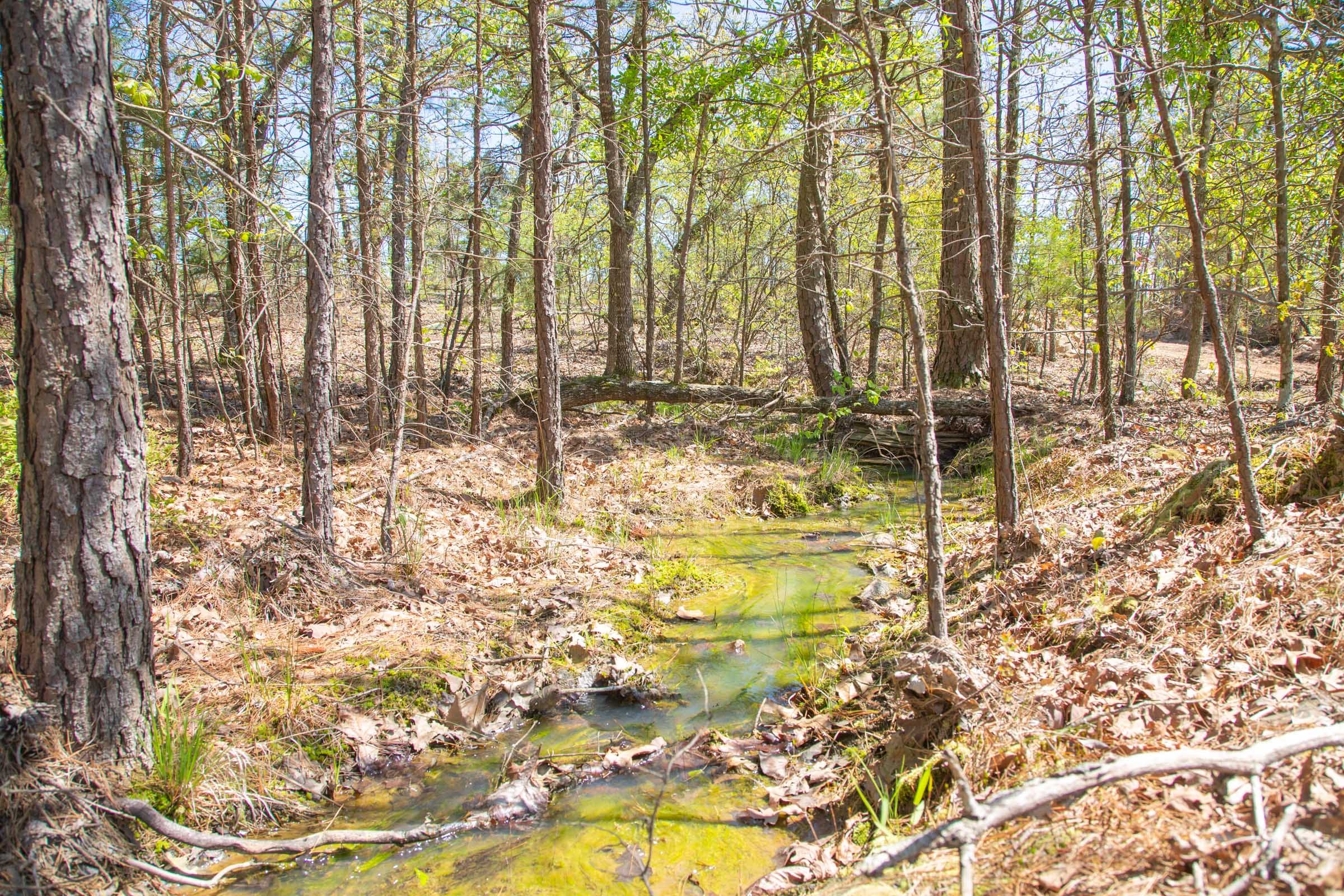 Eagle’s Nest Tract 21 photo 16