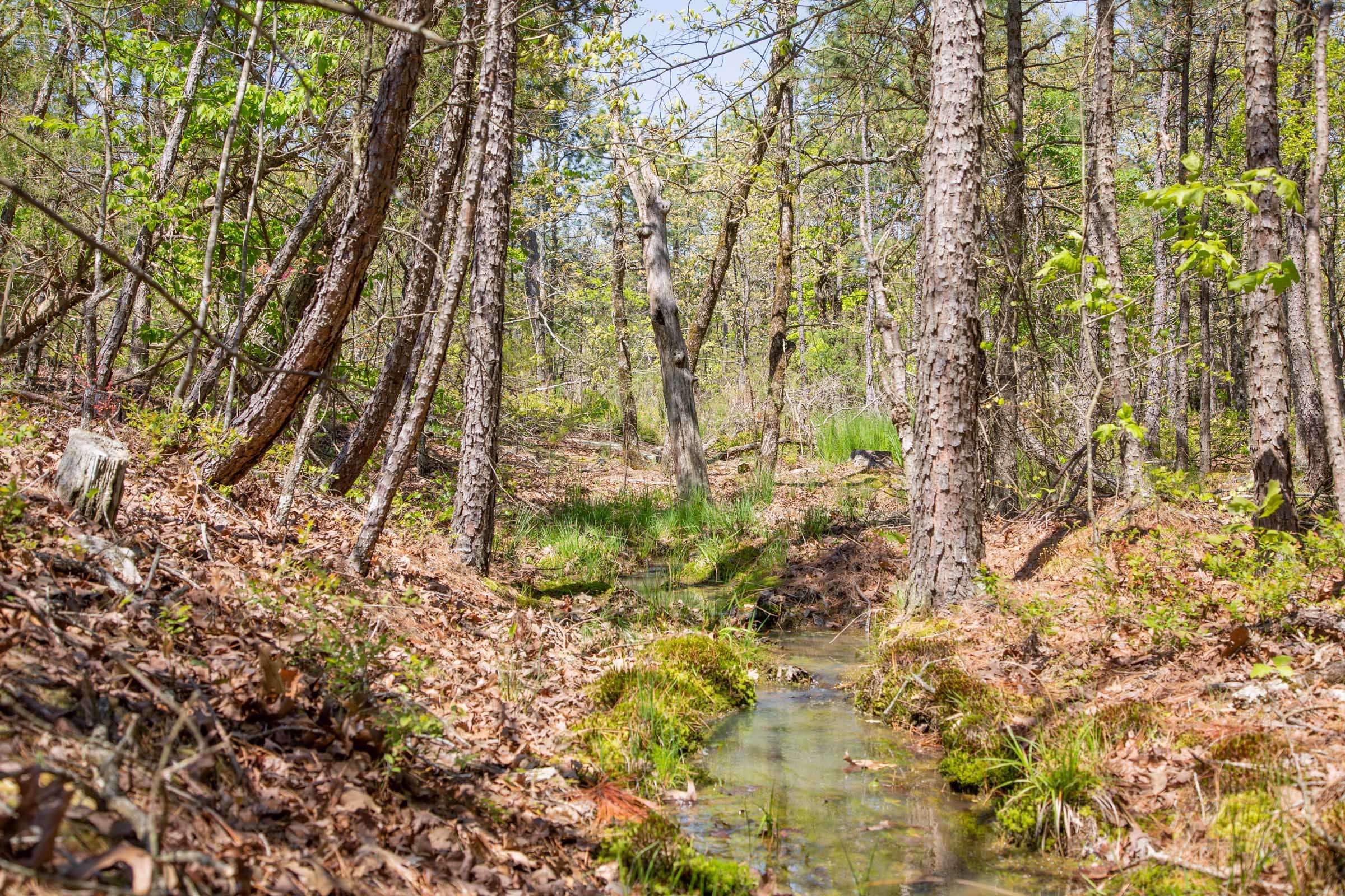 Eagle’s Nest Tract 21 photo 17