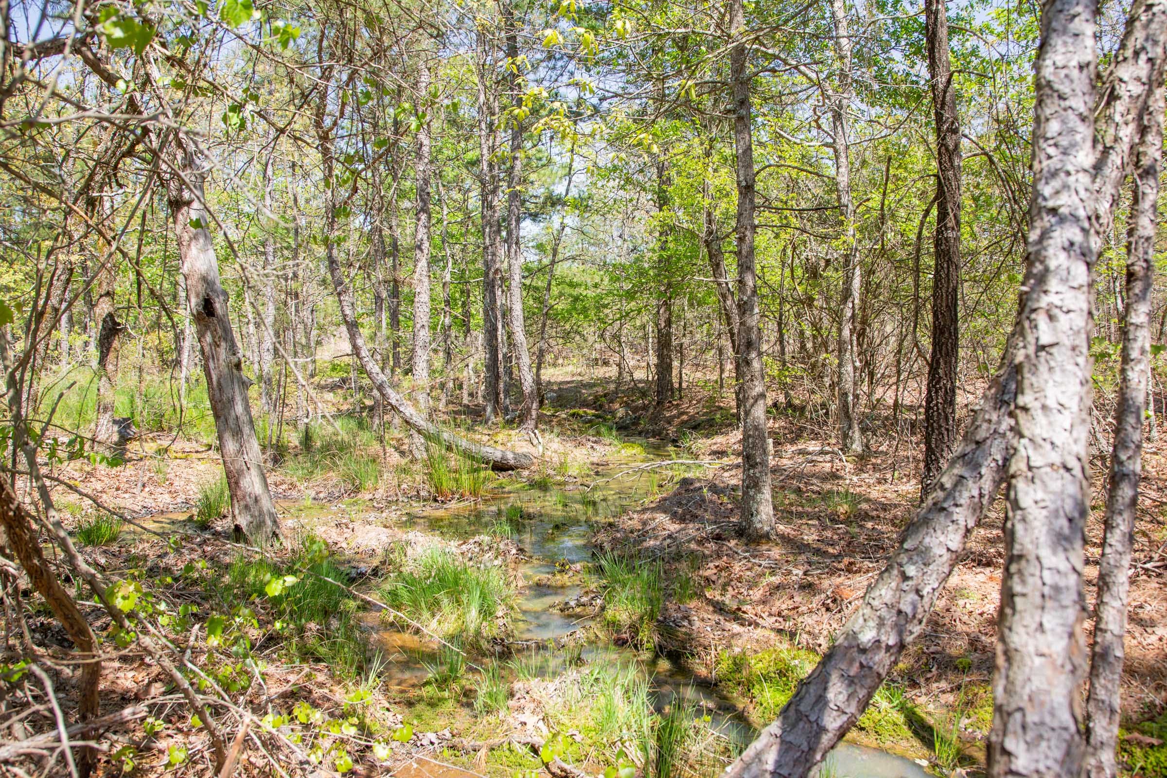 Eagle’s Nest Tract 21 photo 18