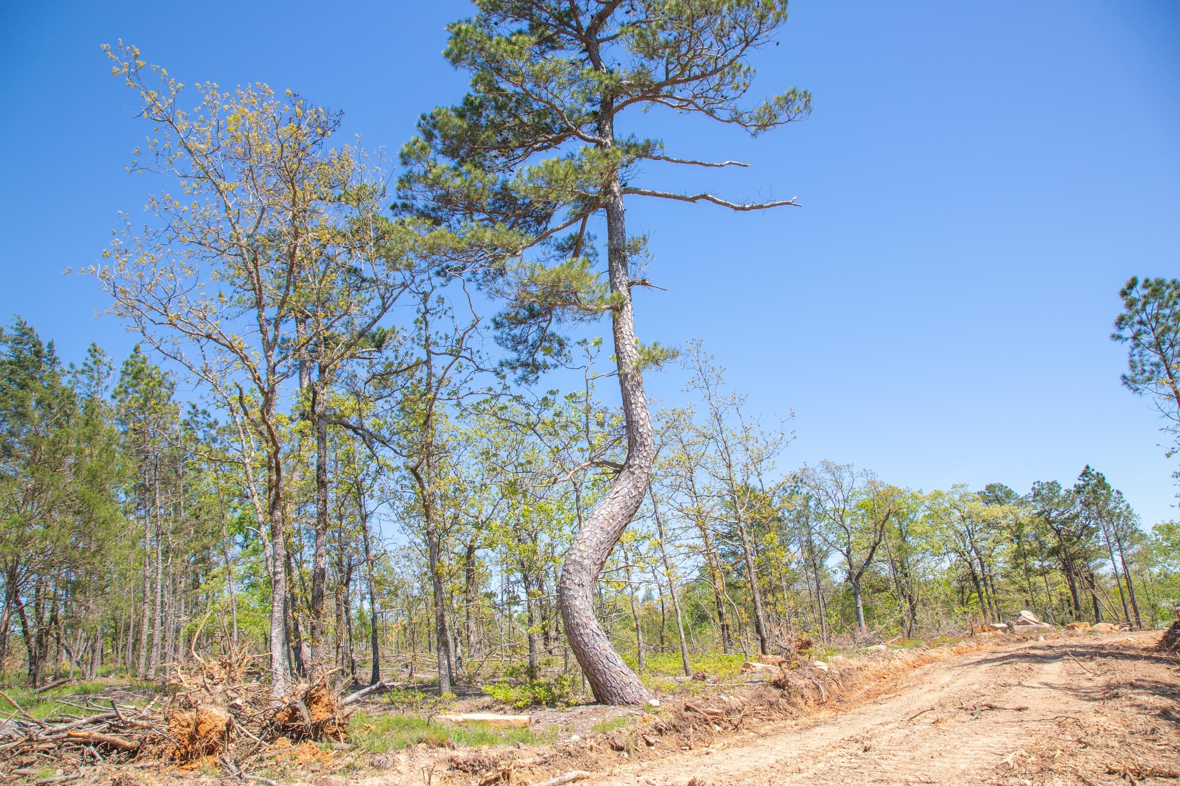 Eagle’s Nest Tract 21 photo 19