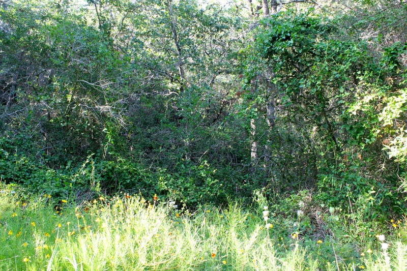 Tahitian Village Tract 673 photo 1