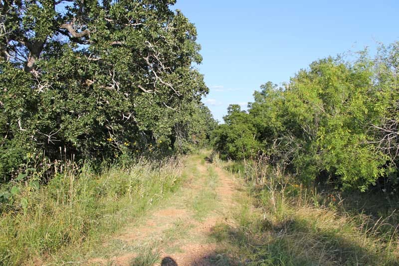 Tahitian Village Tract 673 photo 9