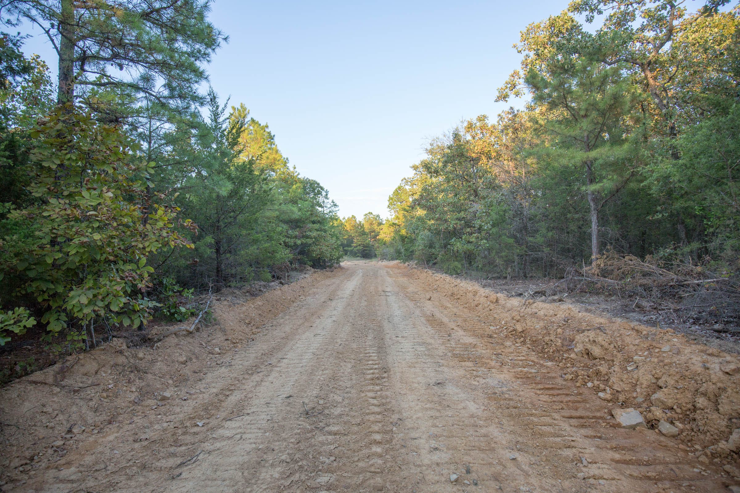 Stone Bridge Phase I Tract 66 photo 6