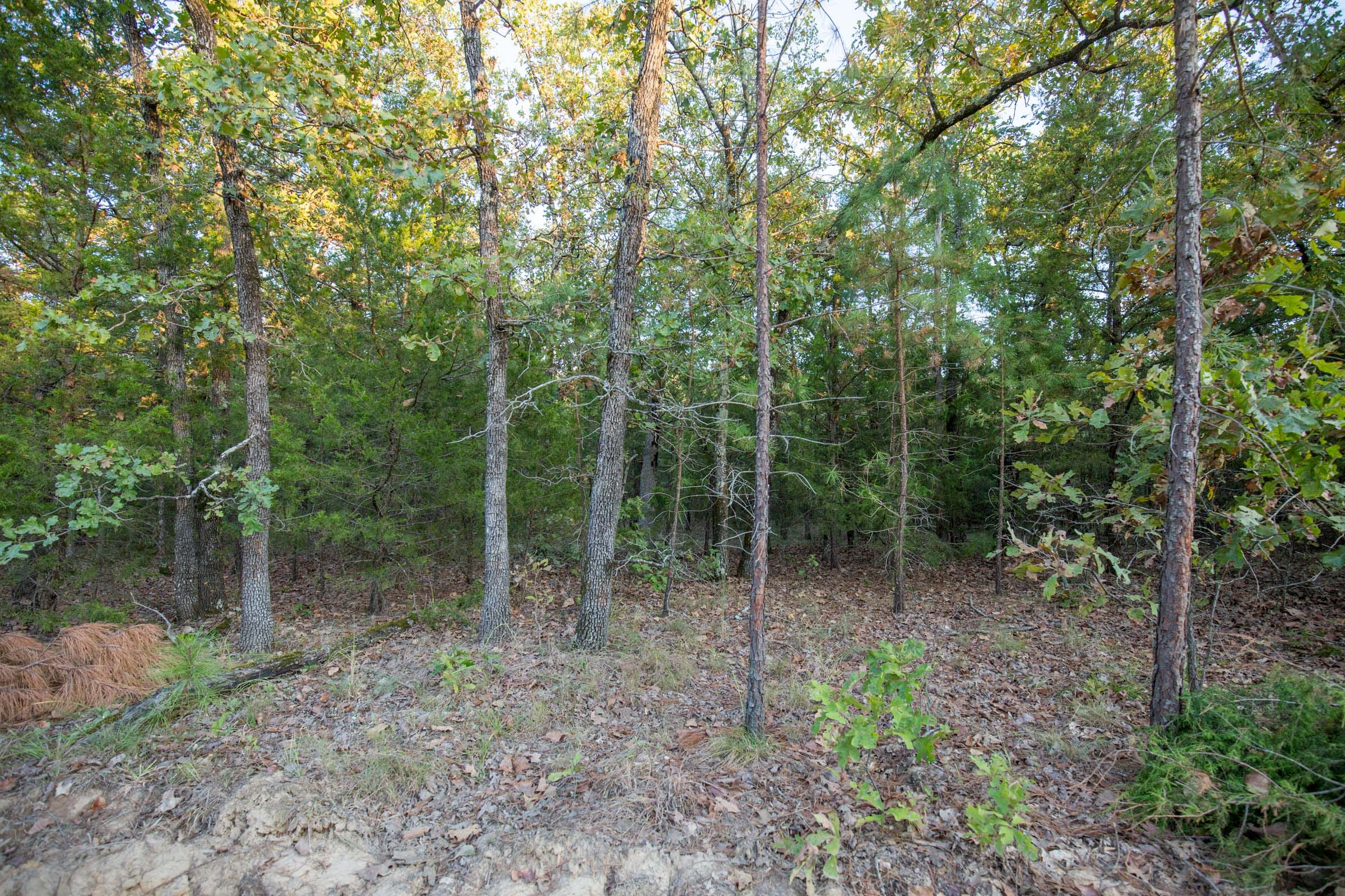 Stone Bridge Phase I Tract 66 photo 7