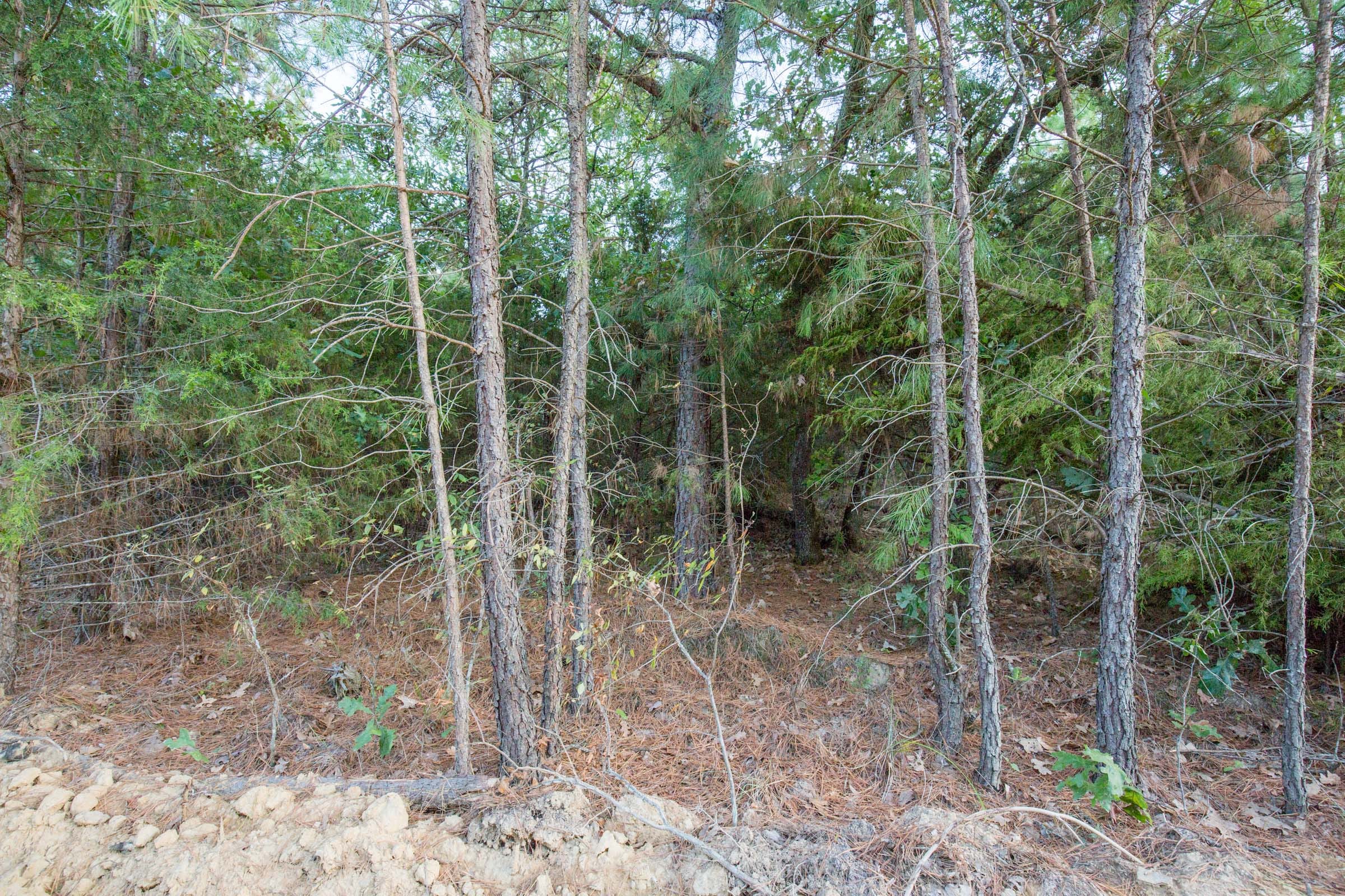 Stone Bridge Phase I Tract 66 photo 8