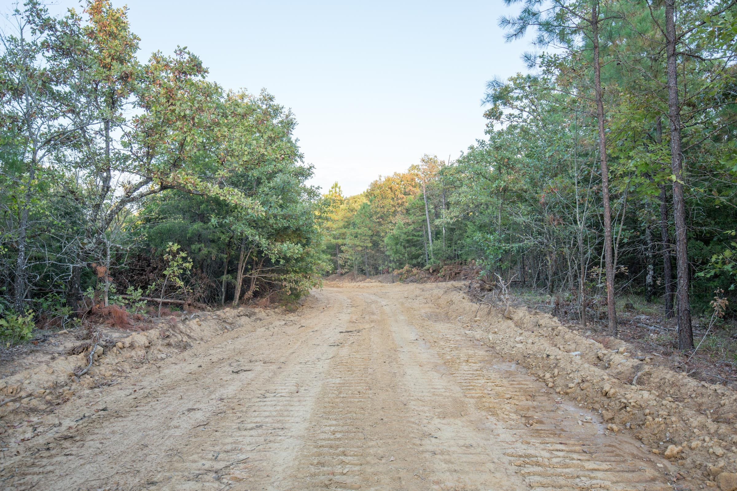 Stone Bridge Phase I Tract 66 photo 9