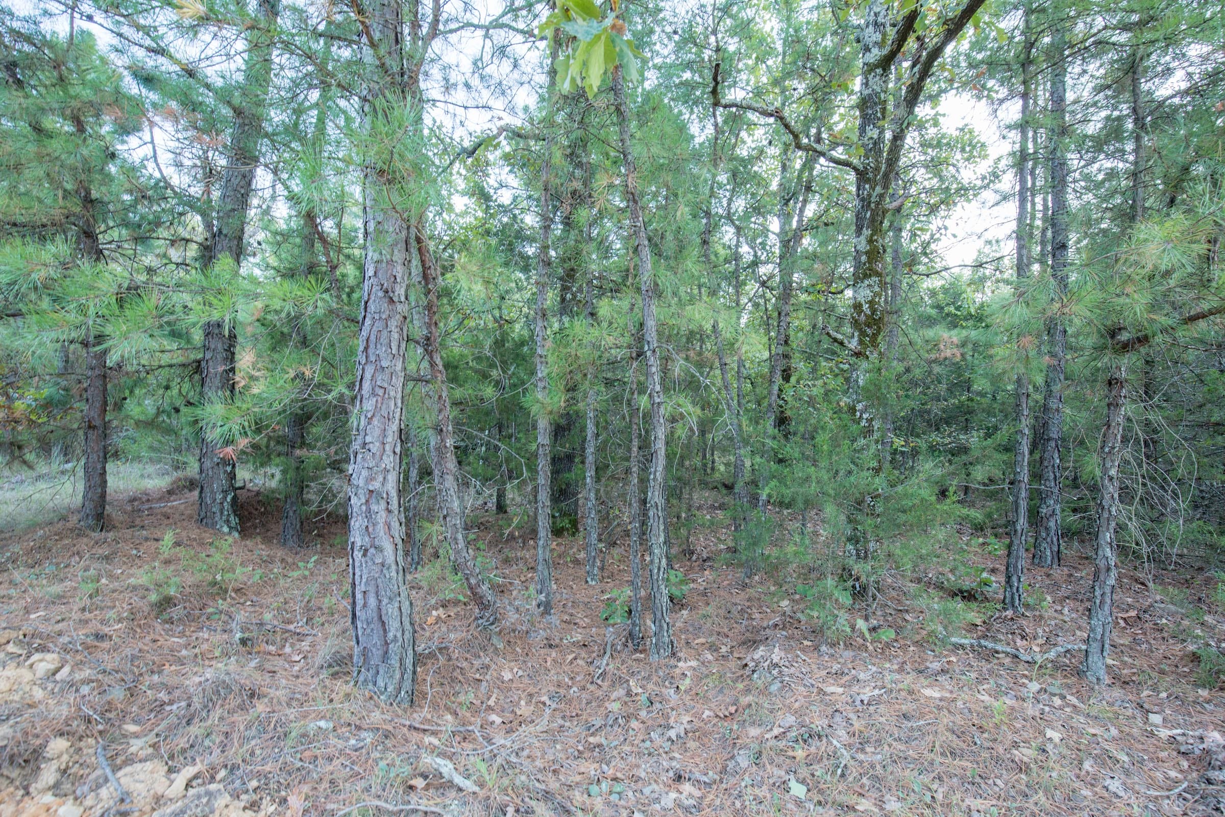Stone Bridge Phase I Tract 66 photo 12