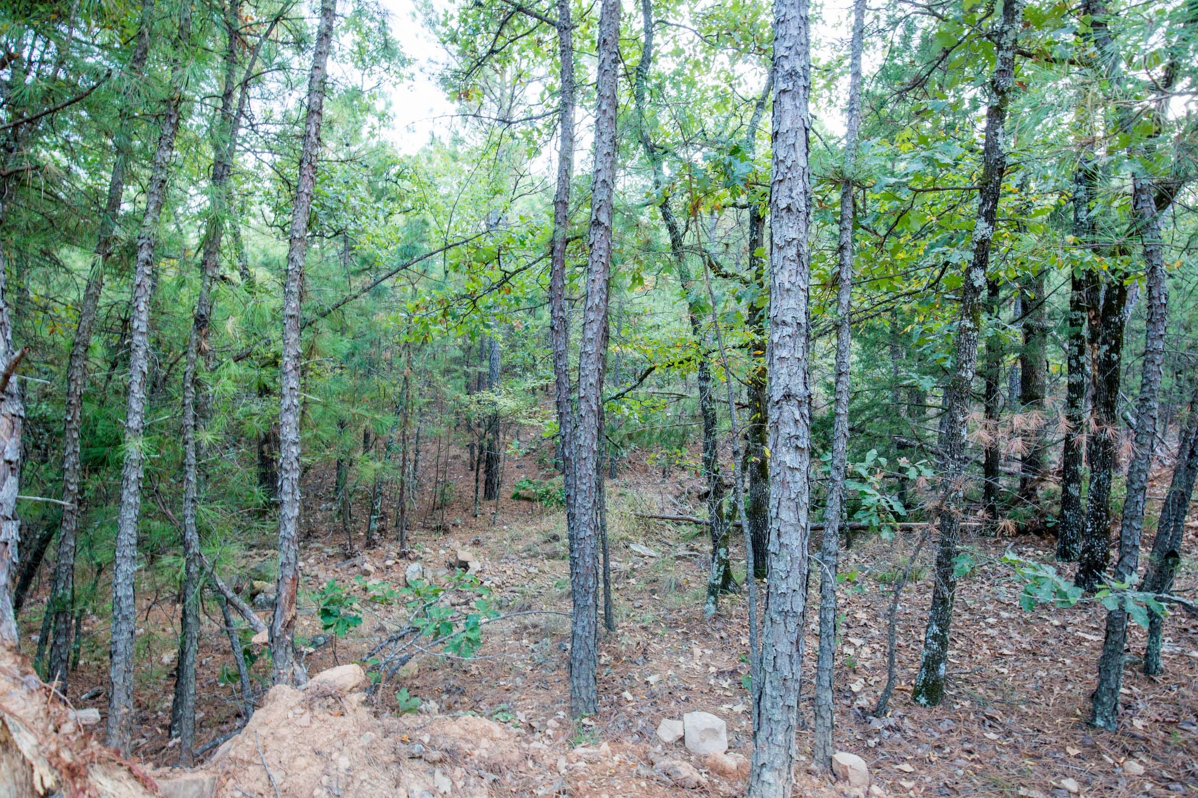 Stone Bridge Phase I Tract 66 photo 13