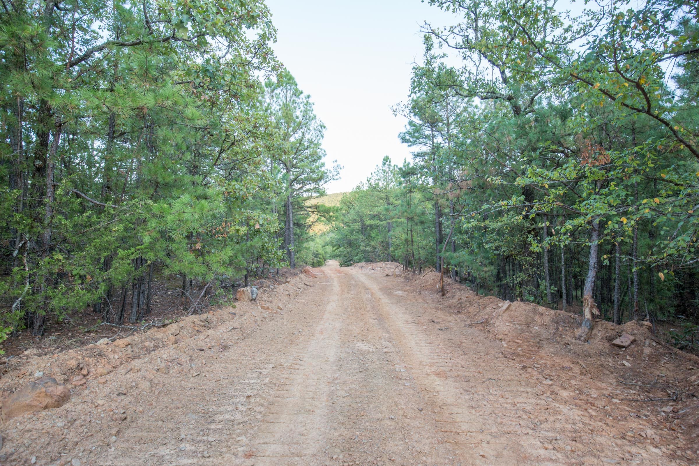 Stone Bridge Phase I Tract 66 photo 15