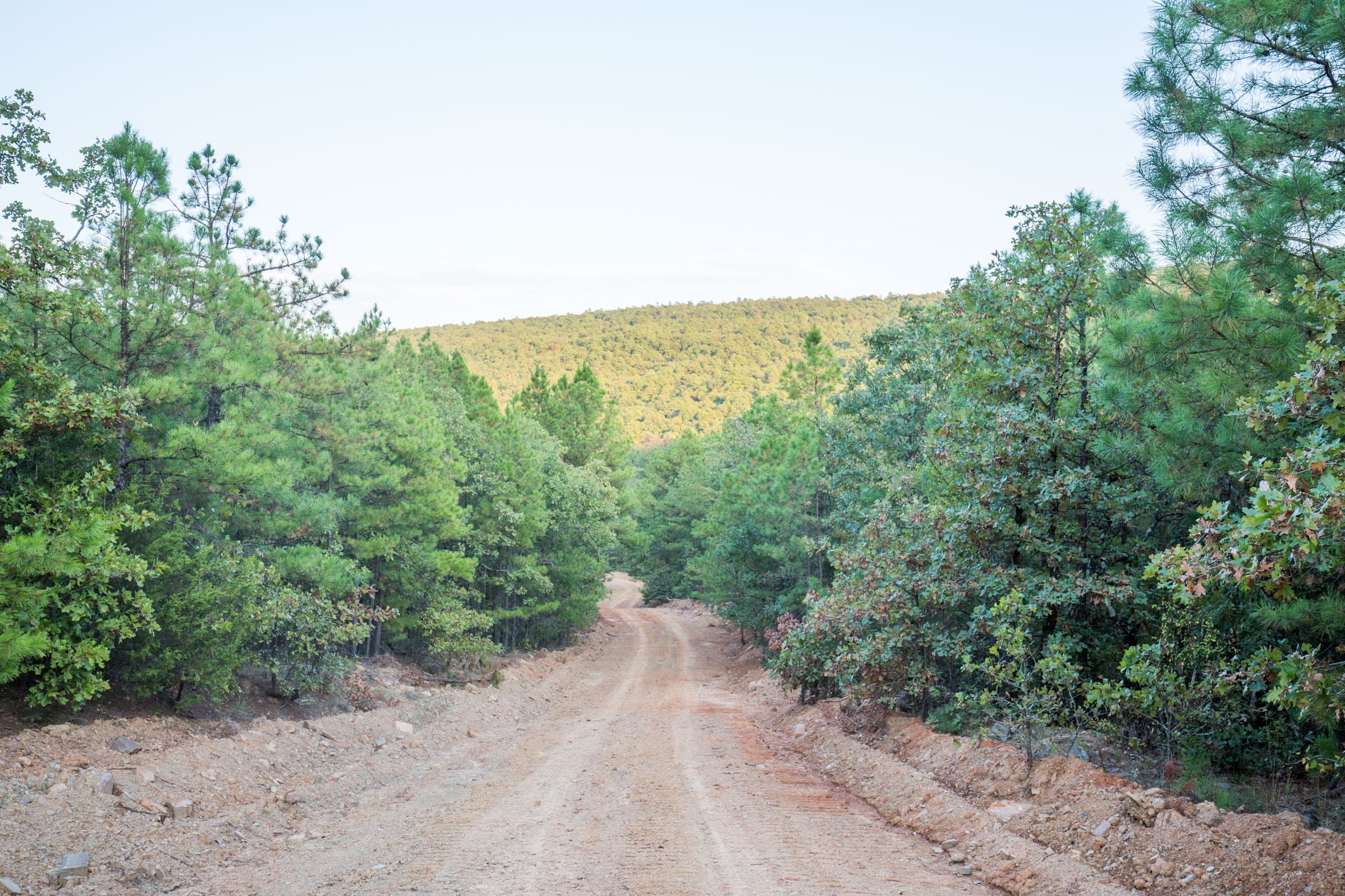 Stone Bridge Phase I Tract 66 photo 16