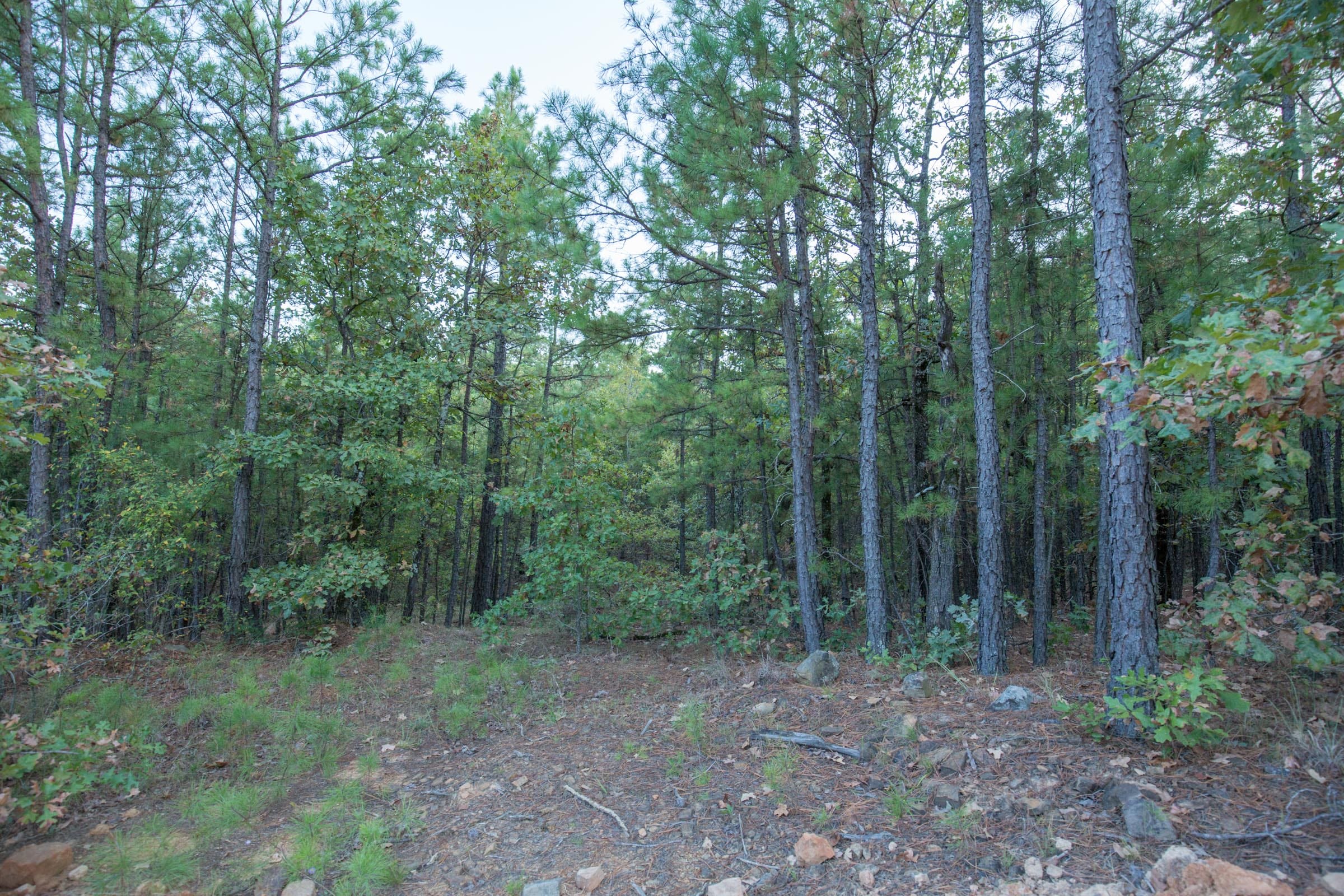 Stone Bridge Phase I Tract 66 photo 17