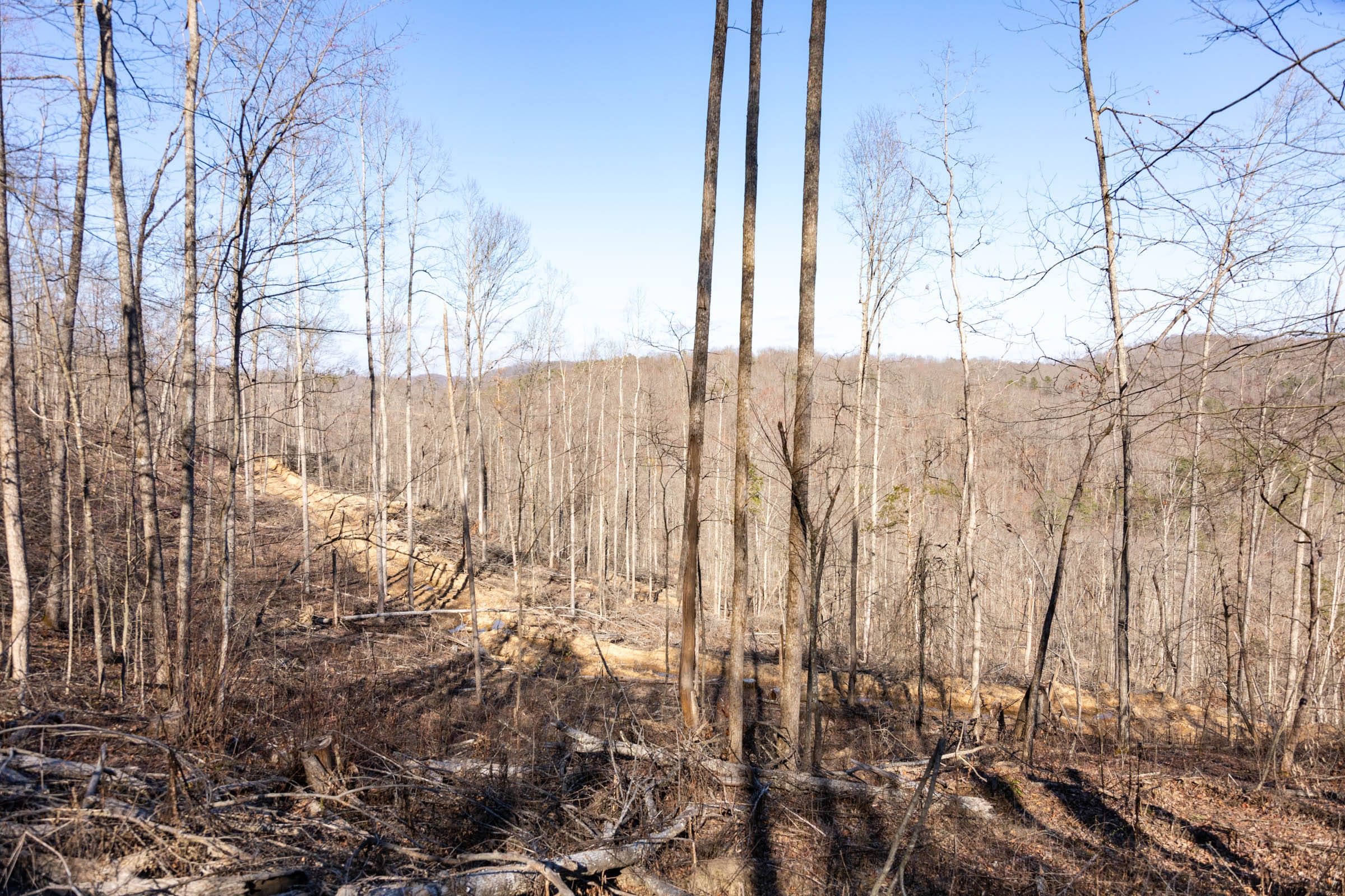 Creek Hollow Phase I Tract 17 photo 2